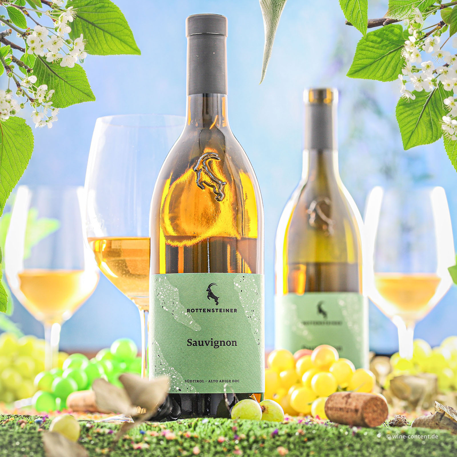 Sauvignon Blanc 2025