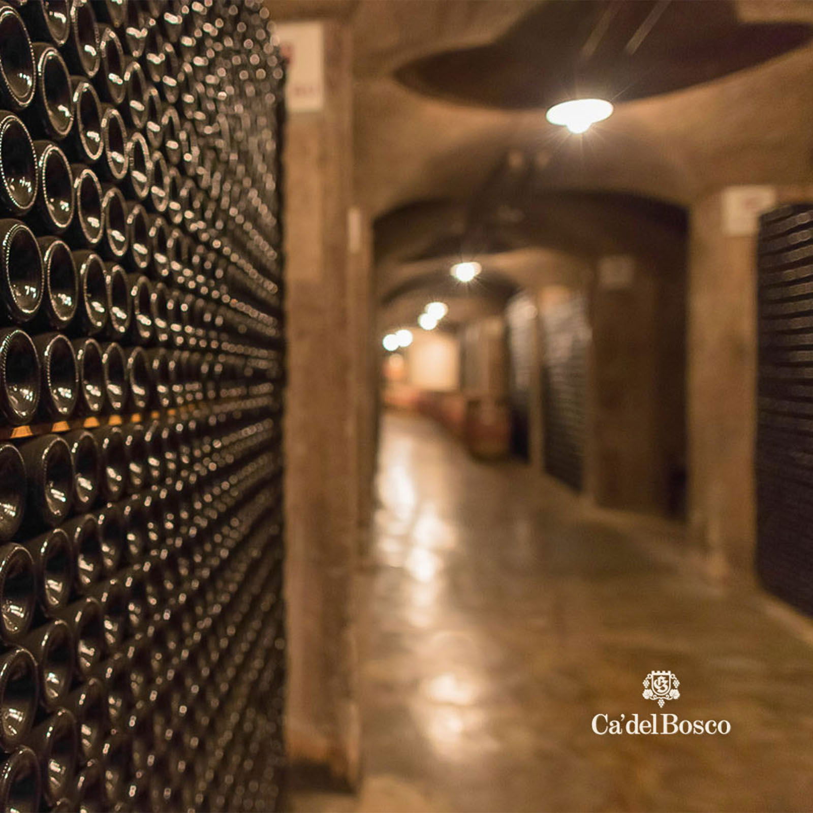 Franciacorta Cuvée Prestige Edizione 48 Extra Brut