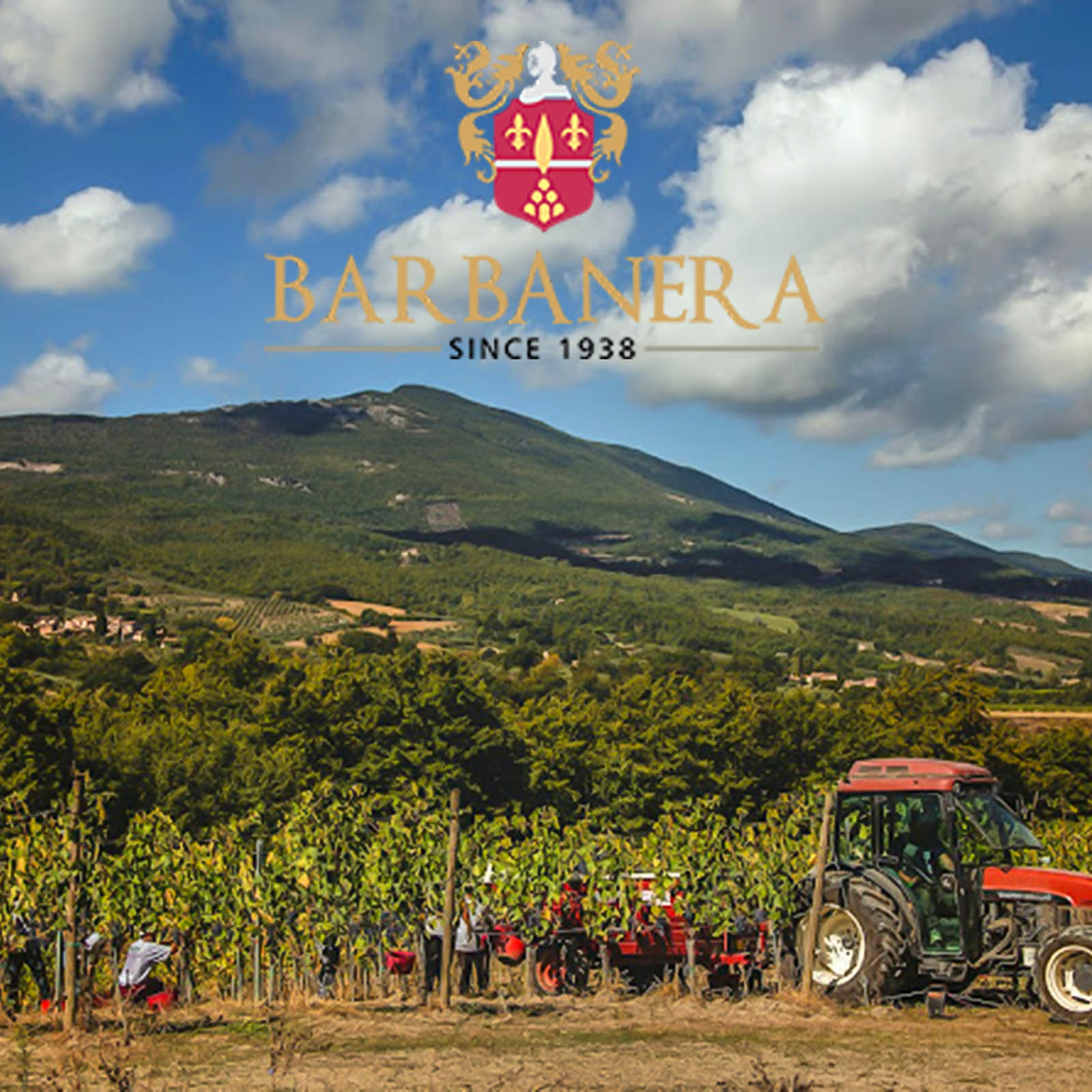 Toscana Rosso 2024 Eterno