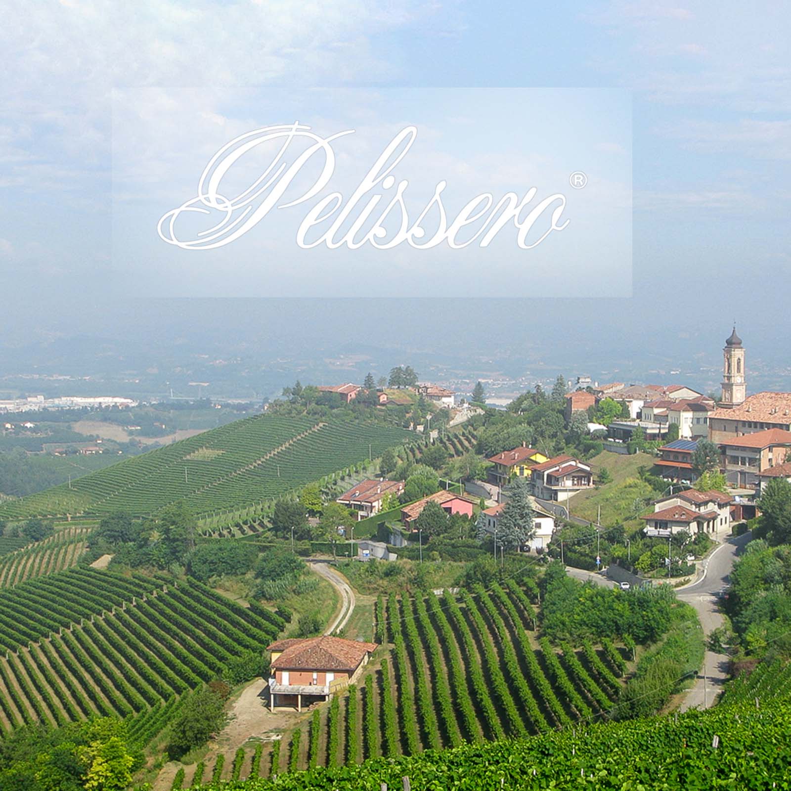 Barbaresco 2019 Tulin Barbaresco 2019 Tulin