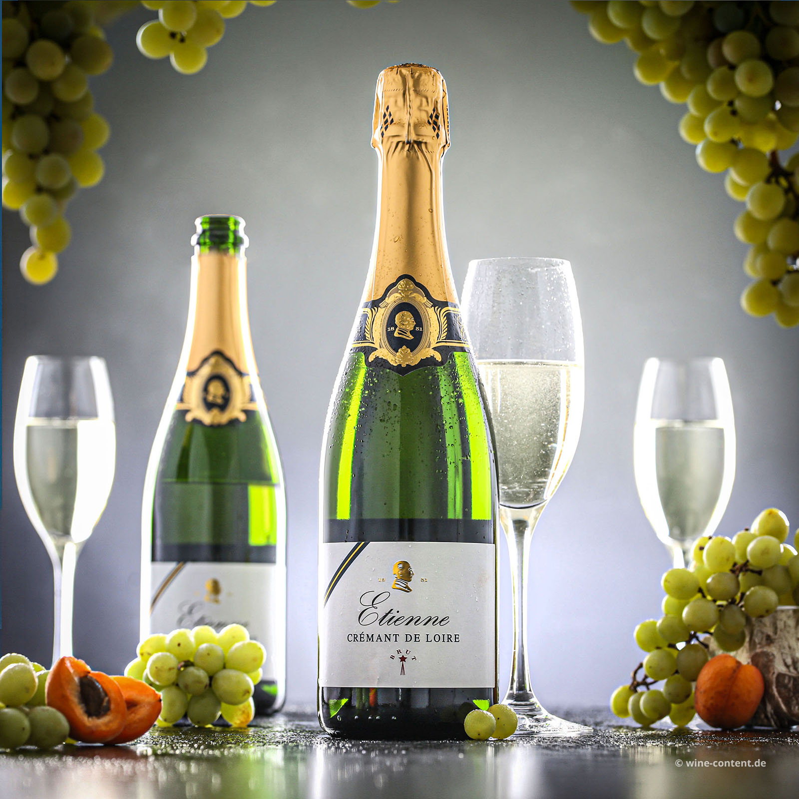 Crémant de Loire Etienne Brut