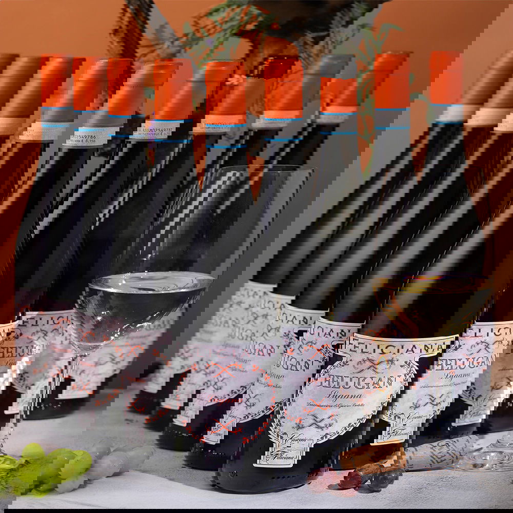 9er-Sparpaket Lugana 2025 Felugan