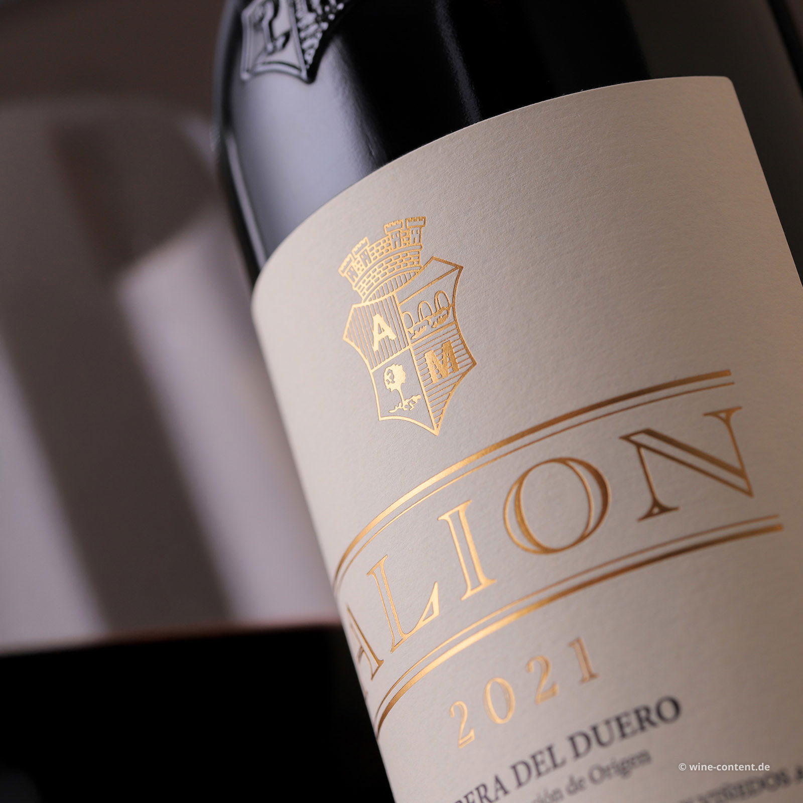 Ribera del Duero 2021 Alión