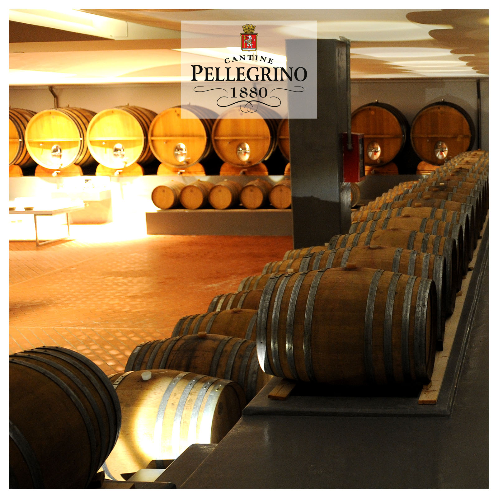 Grillo Sicilia 2026 Il Salinaro