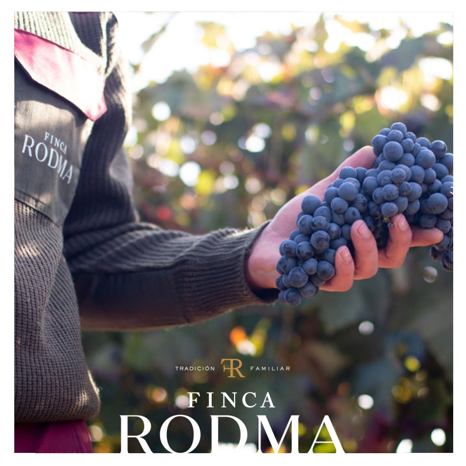 Tempranillo 2020 Selección