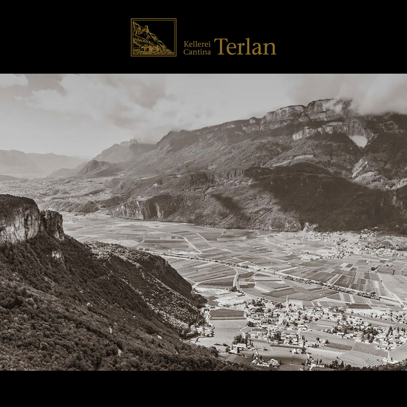 3er-Holzkiste Terlaner I Primo Grande Cuvée 2022