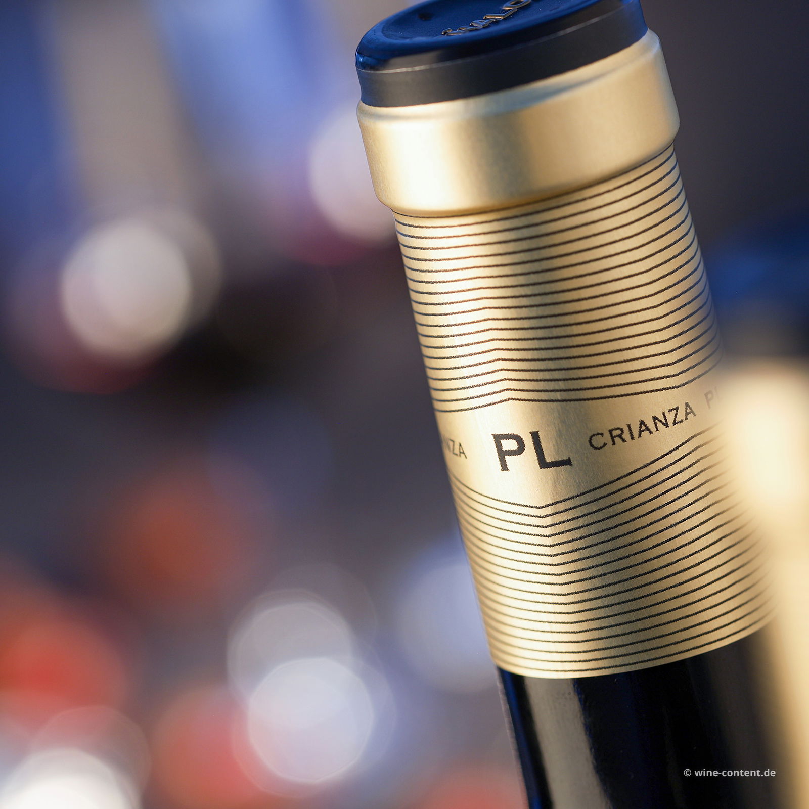 Tempranillo Crianza 2019 Peñalosa