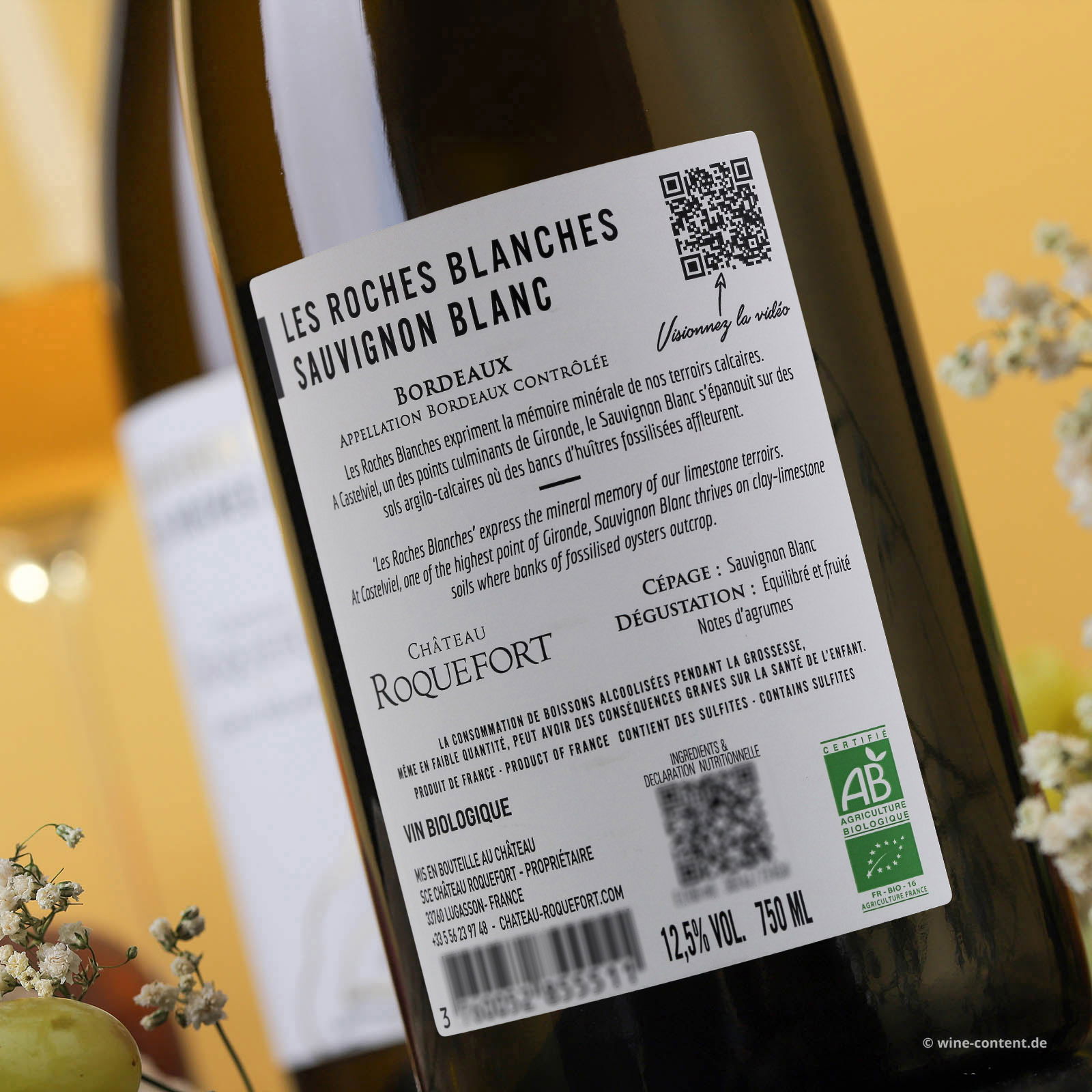 Sauvignon Blanc 2025 Les Roches Blanches Bio