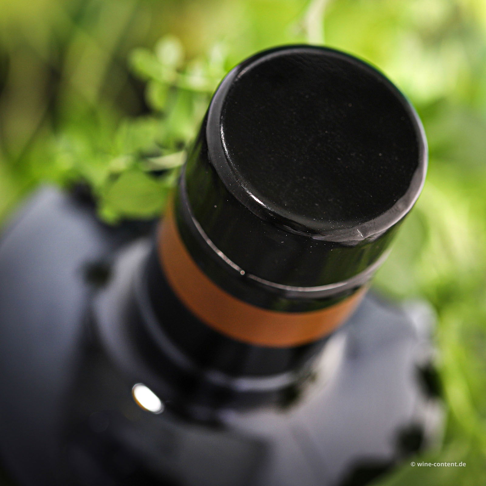 0,5 L Olivenöl Extra Vergine Picholine