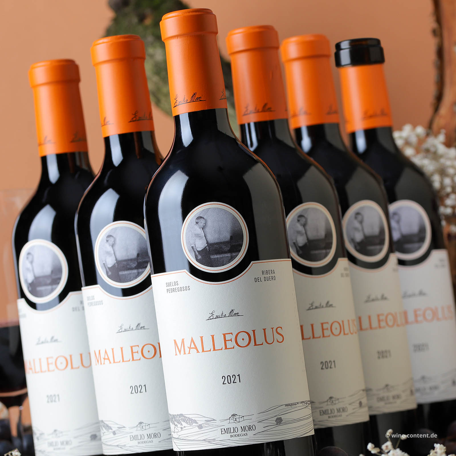 6er-Sparpaket Malleolus 2021
