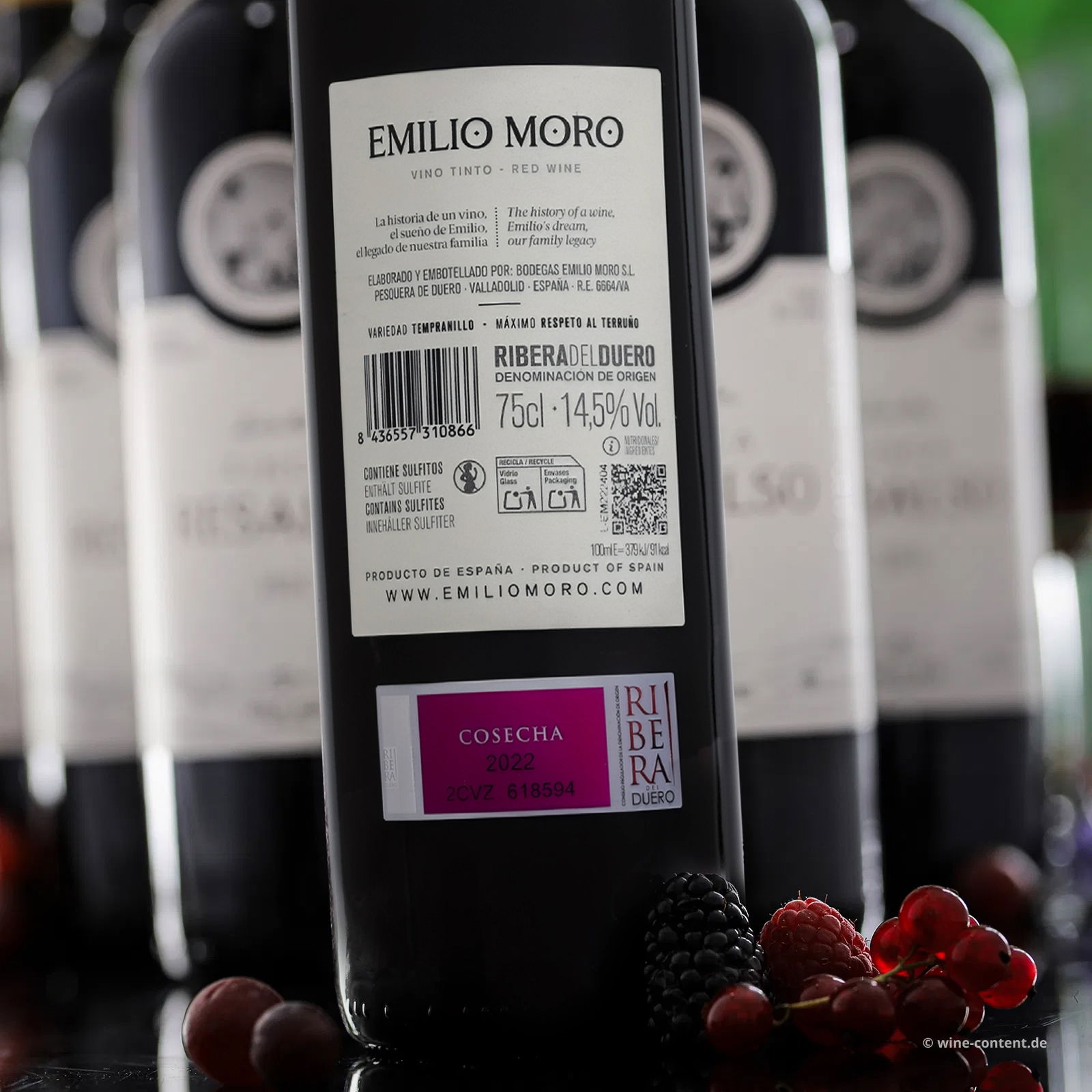 6er-Sparpaket Tempranillo 2022 Emilio Moro