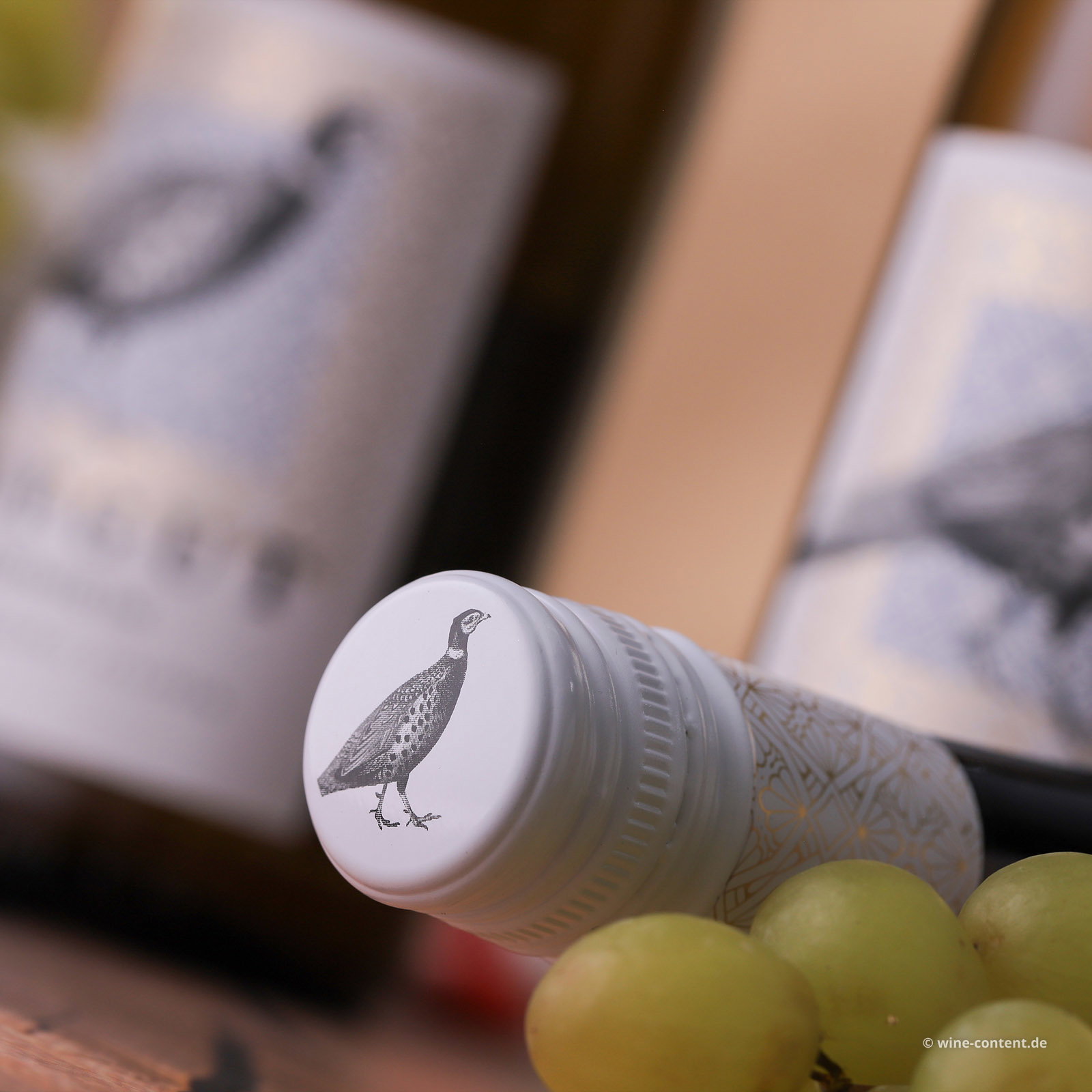 6er-Sparpaket Grauburgunder 2025 Gönnheim Bio