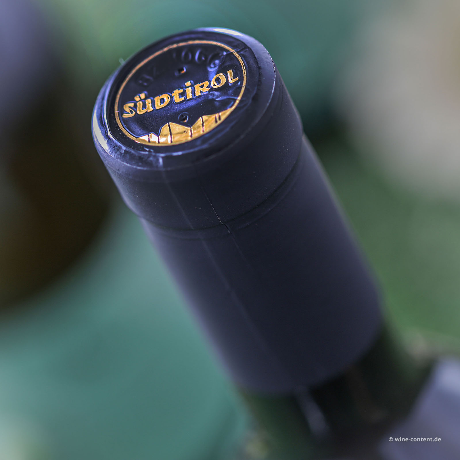 6er-Sparpaket Pinot Grigio 2025