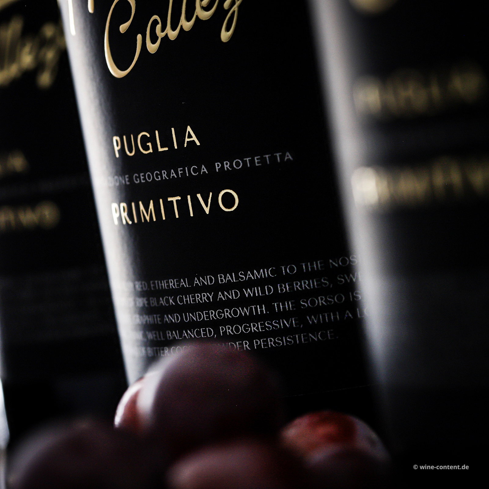 6er-Sparpaket Primitivo 2025 Gran Appasso Collezione