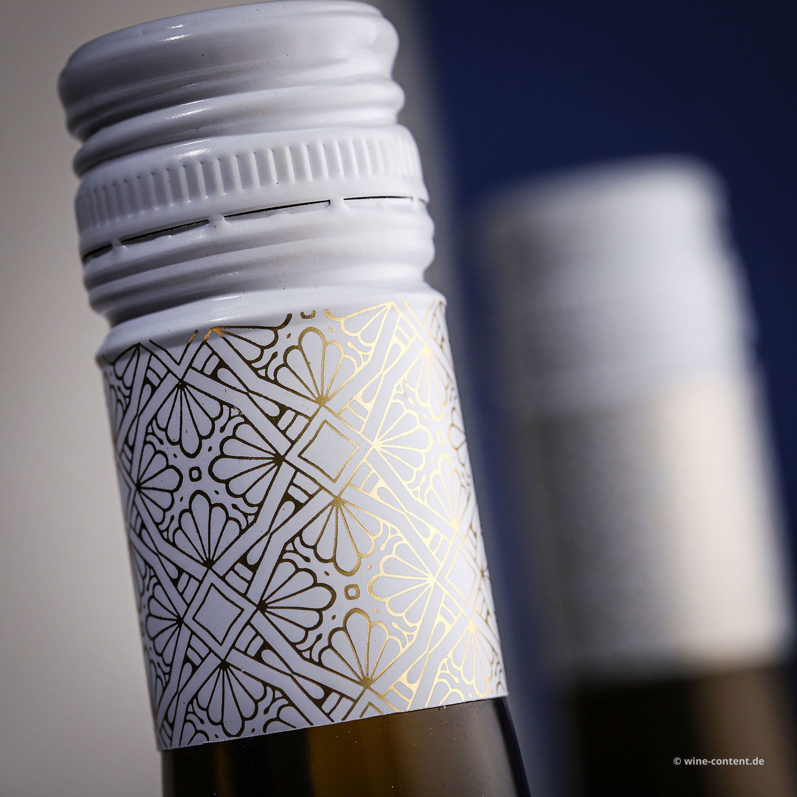 Grauburgunder 2025 Gönnheim Bio