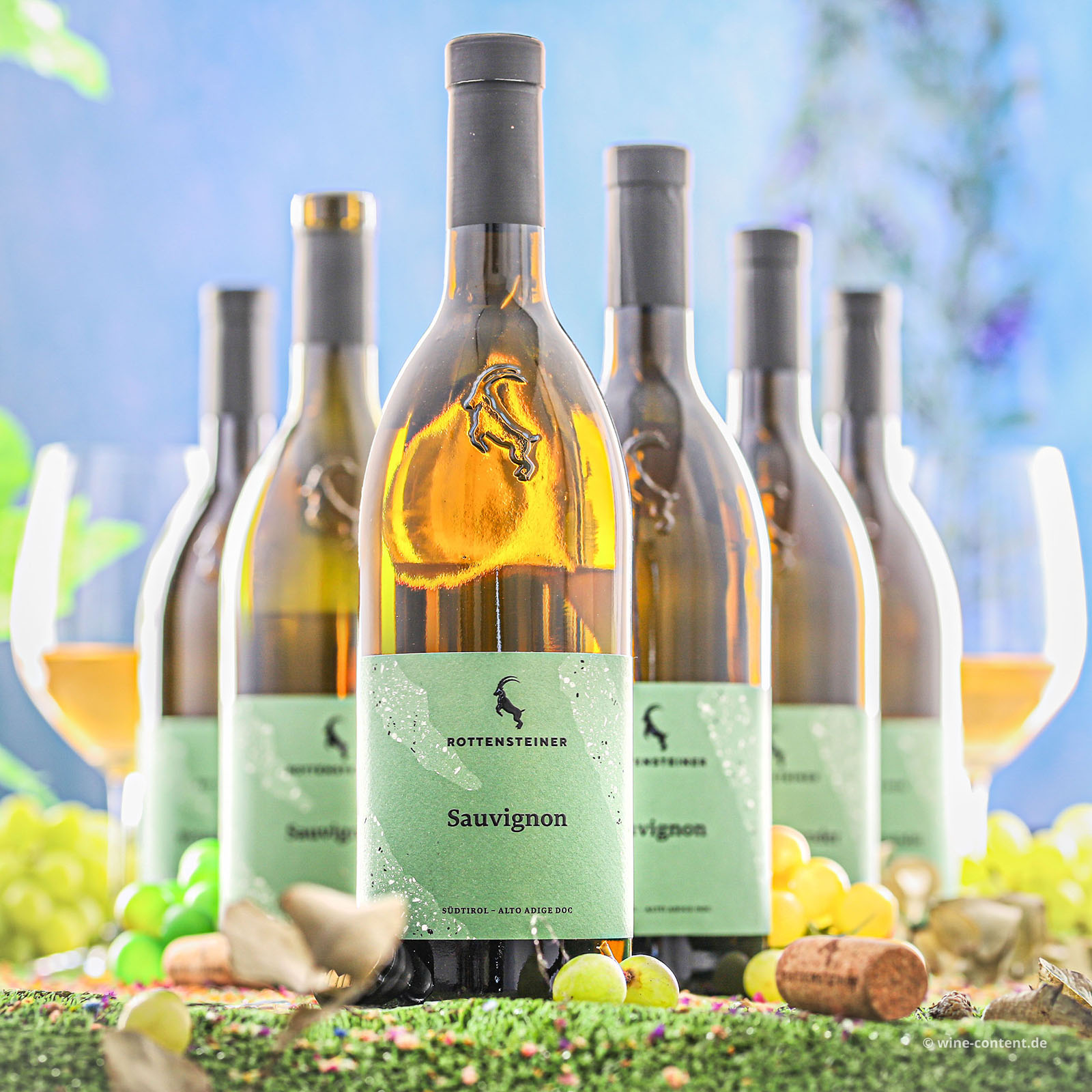 6er-Sparpaket Sauvignon Blanc 2025