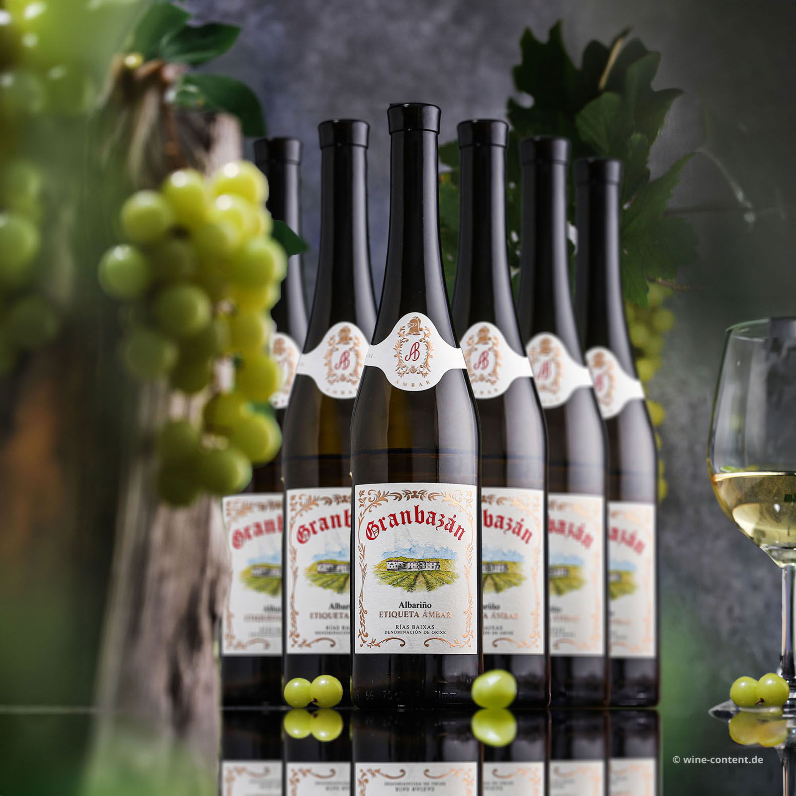 6er-Sparpaket Albariño 2023 Etiqueta Ámbar