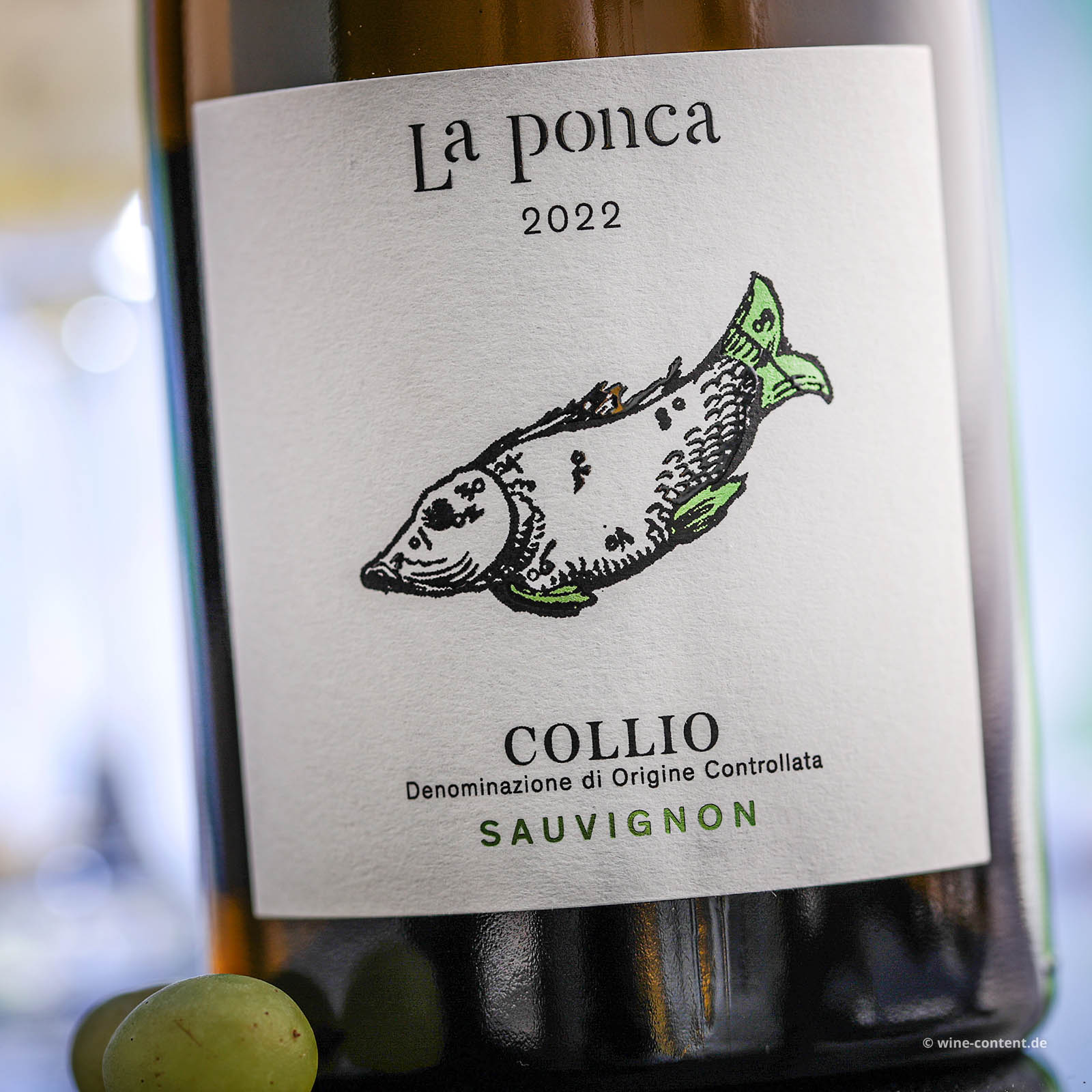 Sauvignon Collio 2022 Bio Sauvignon Collio 2022 Bio