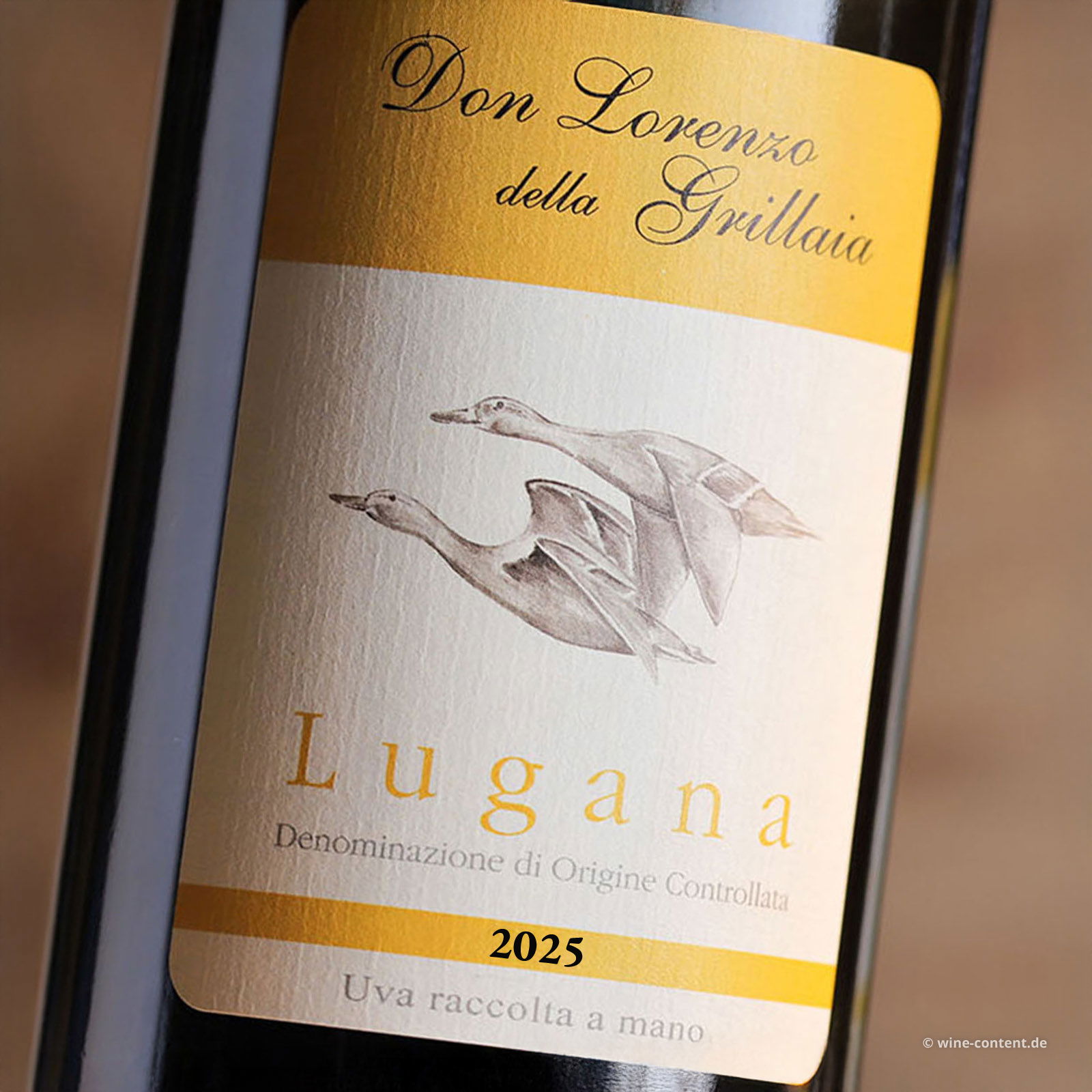 Lugana 2025 Don Lorenzo