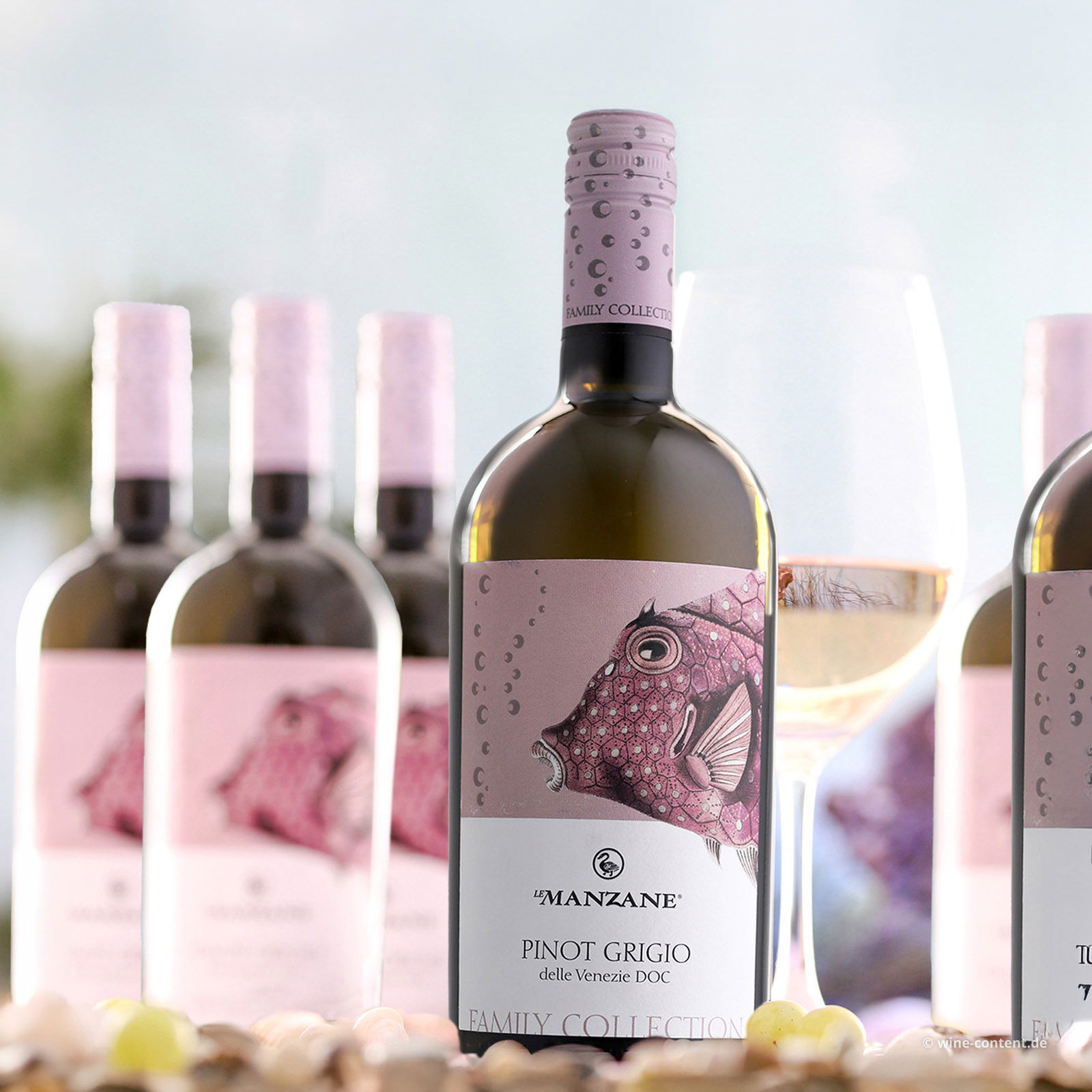 6er-Sparpaket Pinot Grigio delle Venezie 2025