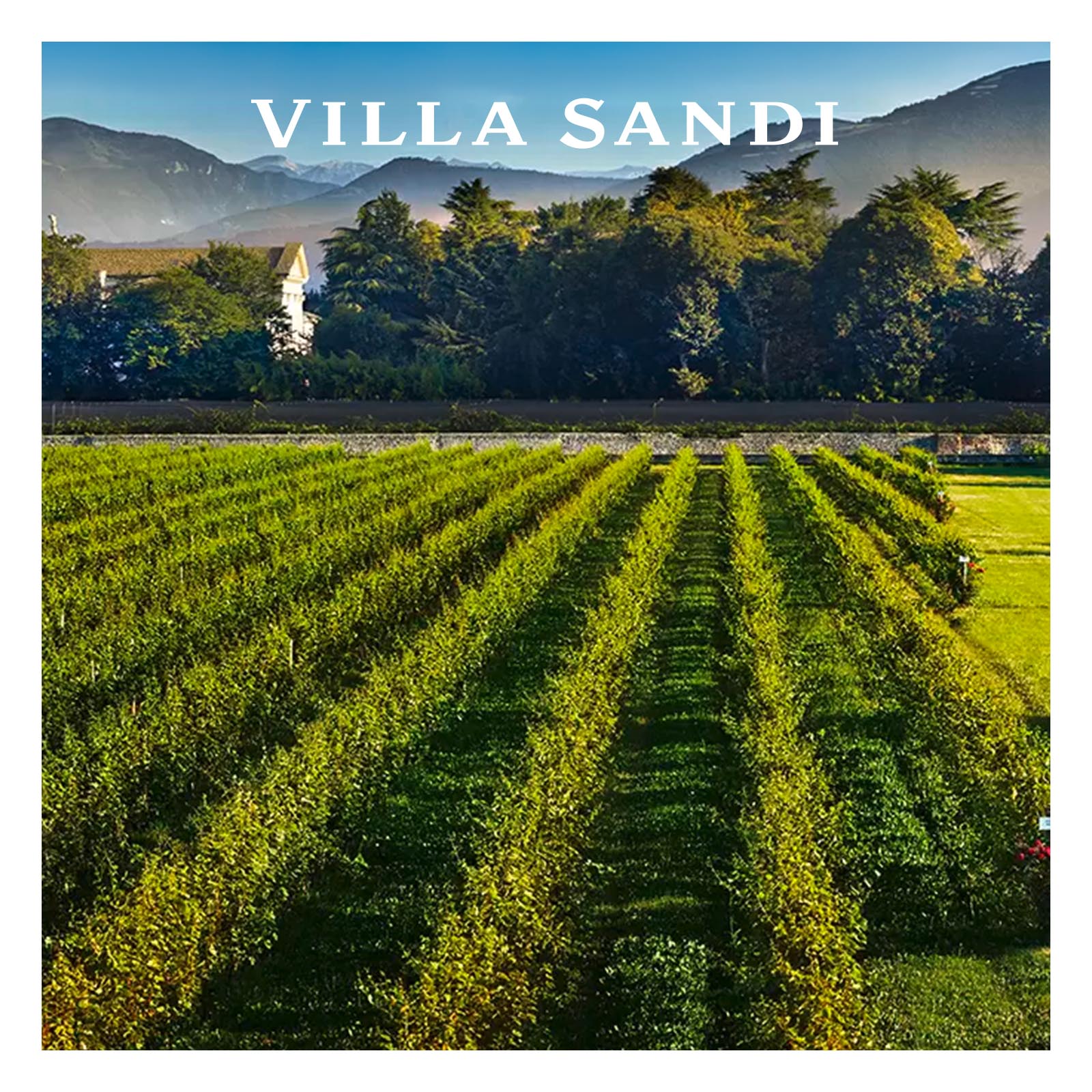 6er-Sparpaket Prosecco Rosé 2025 il Fresco Brut