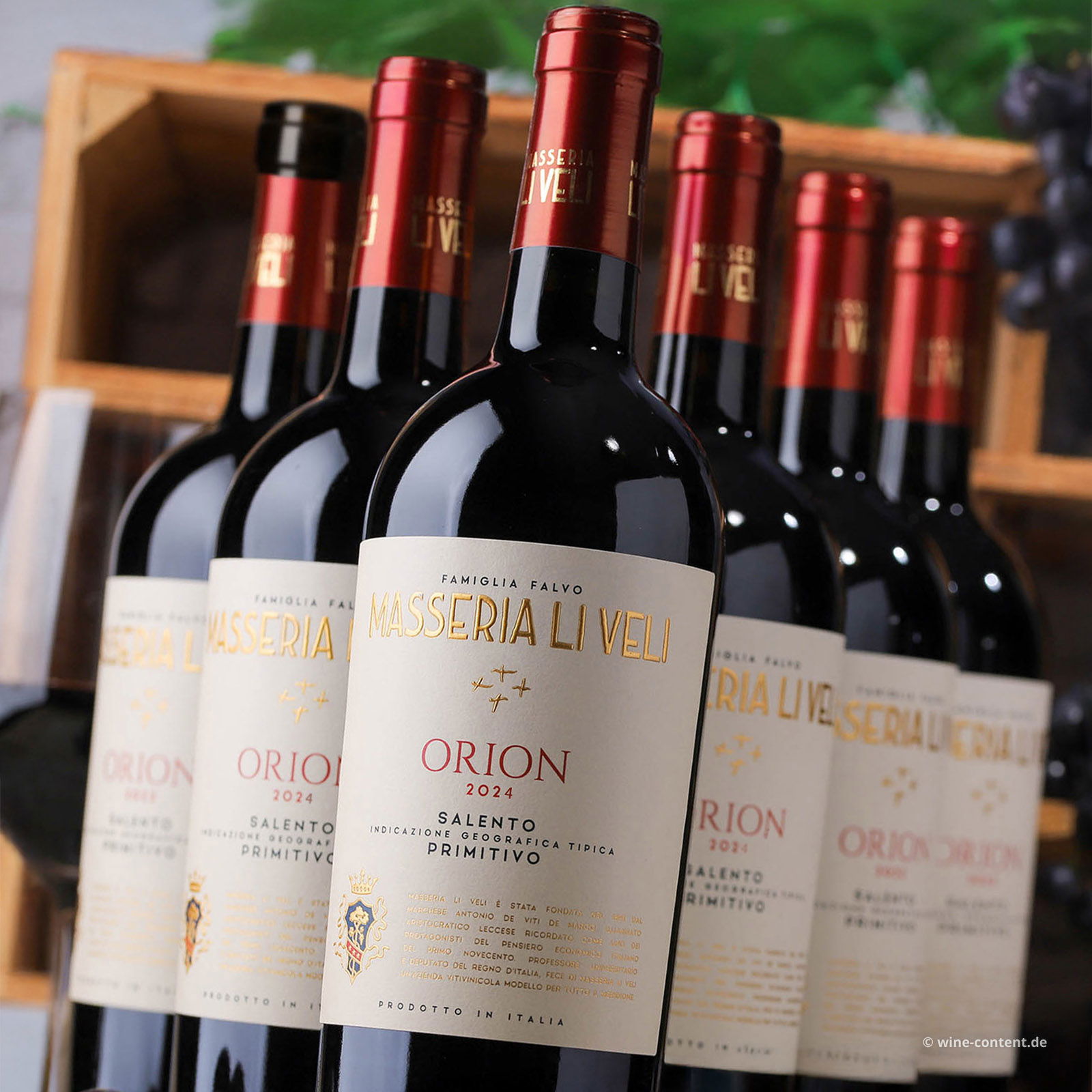 6er-Sparpaket Primitivo Salento 2024 Orion