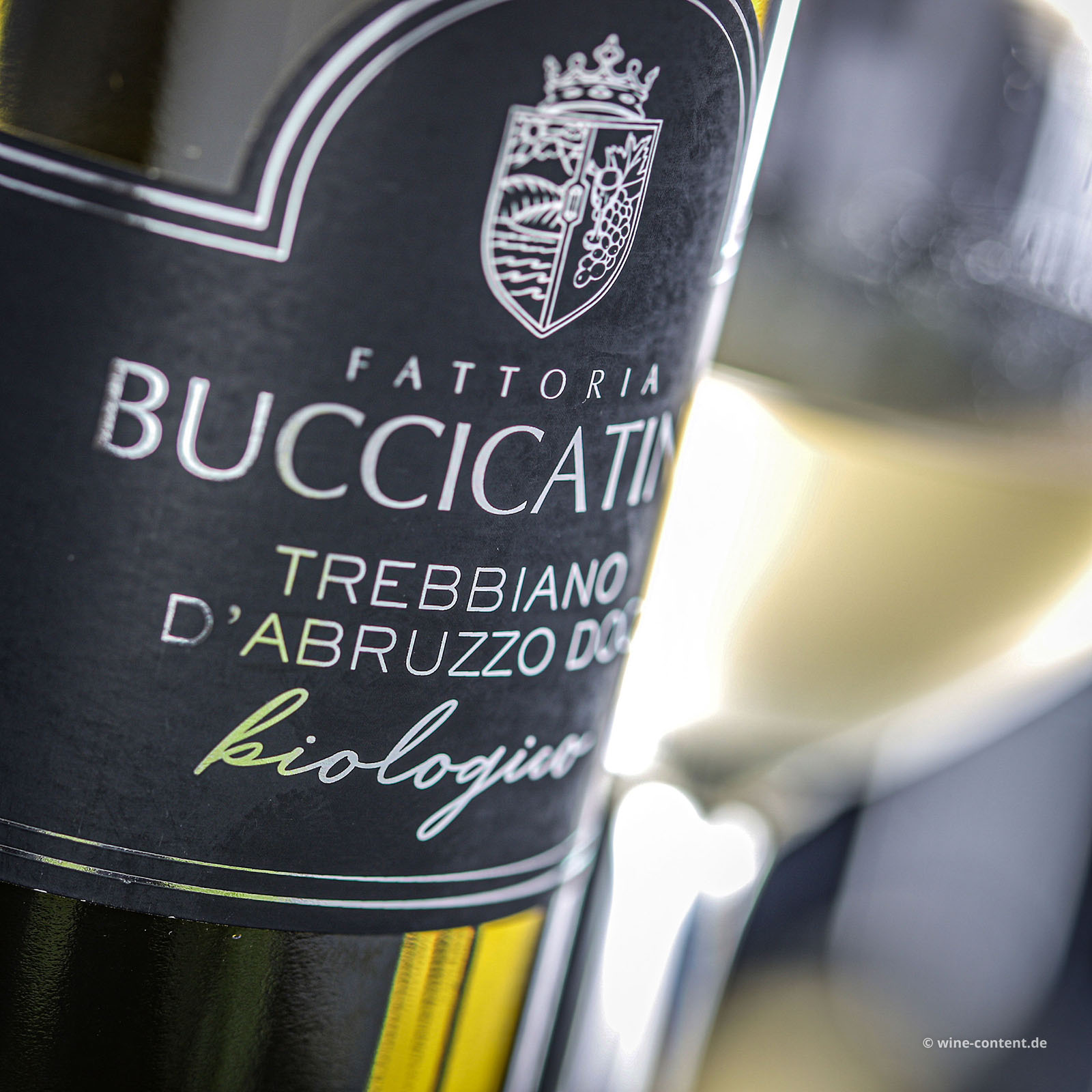 Trebbiano d'Abruzzo 2025 Bio