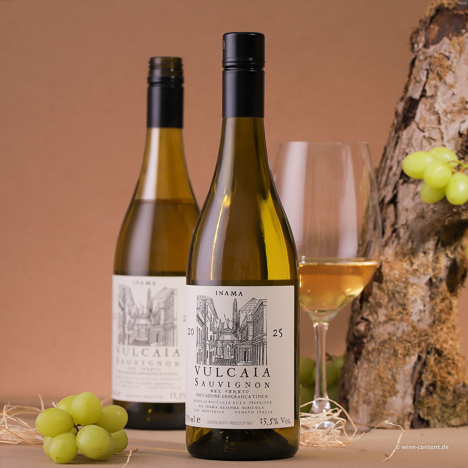 Sauvignon del Veneto 2025 Vulcaia