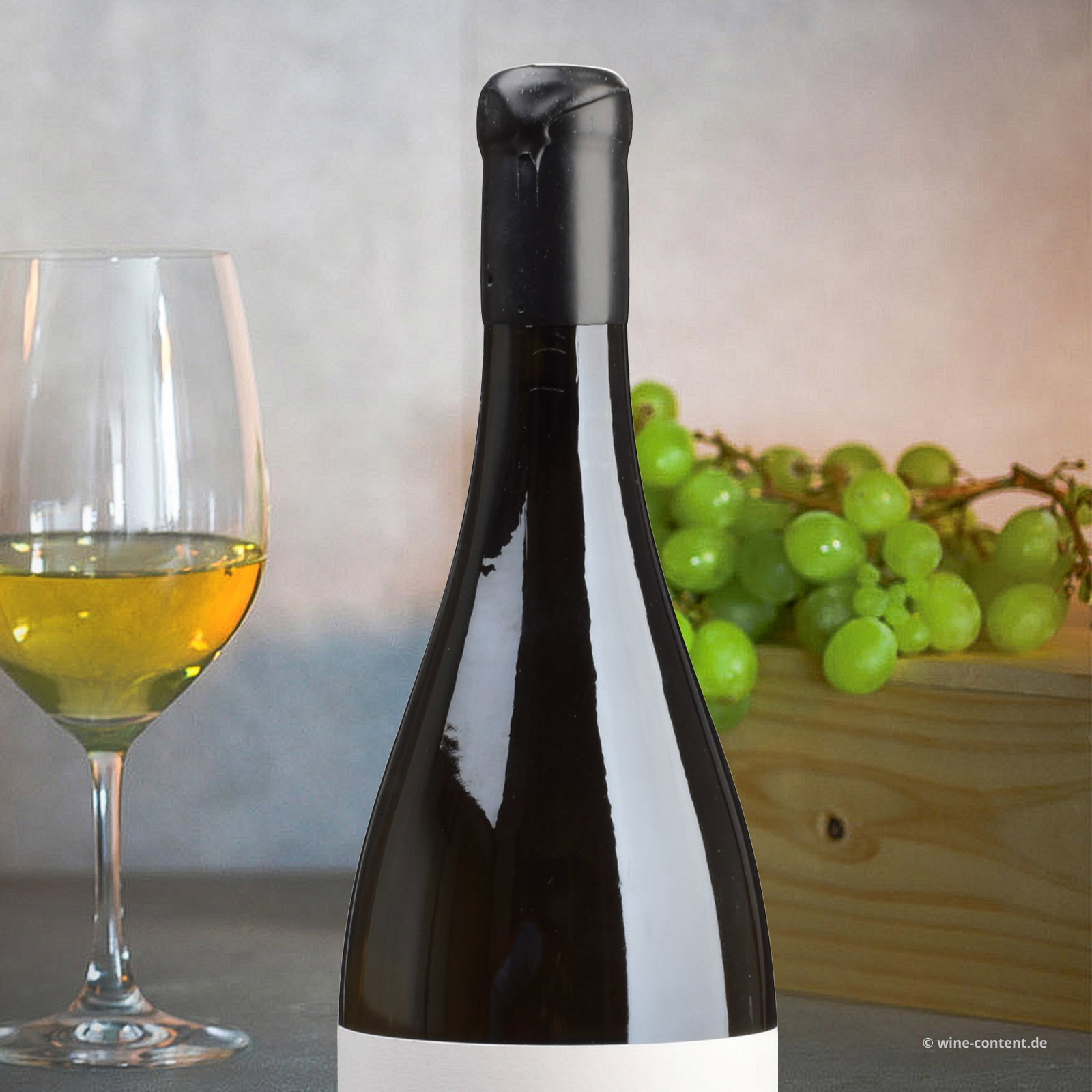 Godello 2023 Sorte Antiga