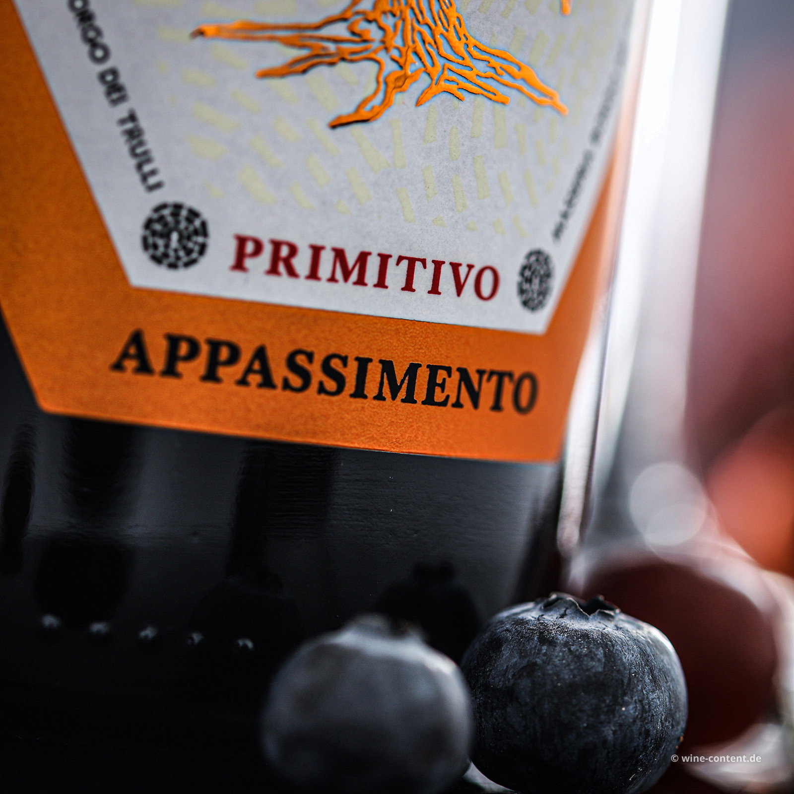 Primitivo Appassimento 2024 Lucale