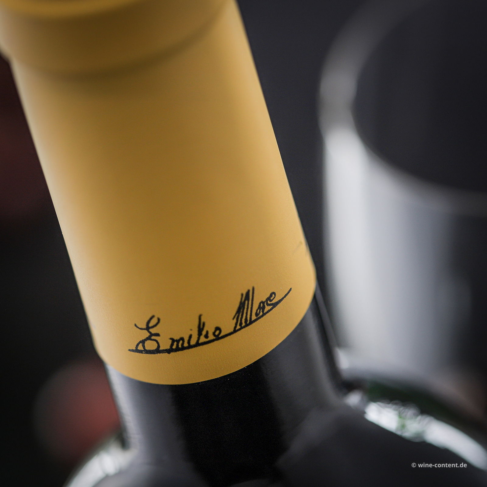 Tempranillo 2024 Finca Resalso