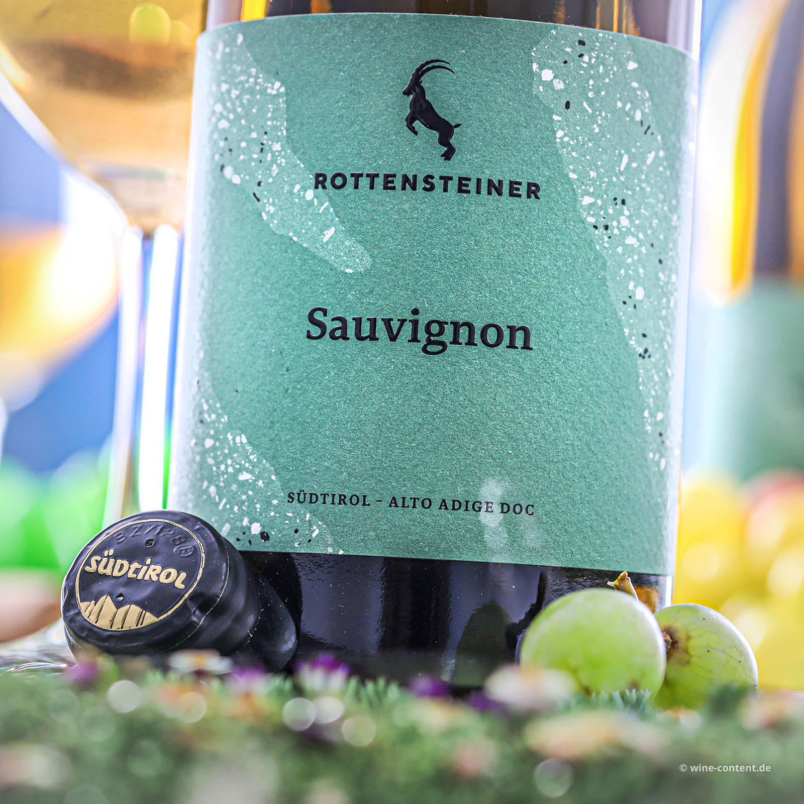 Sauvignon Blanc 2025
