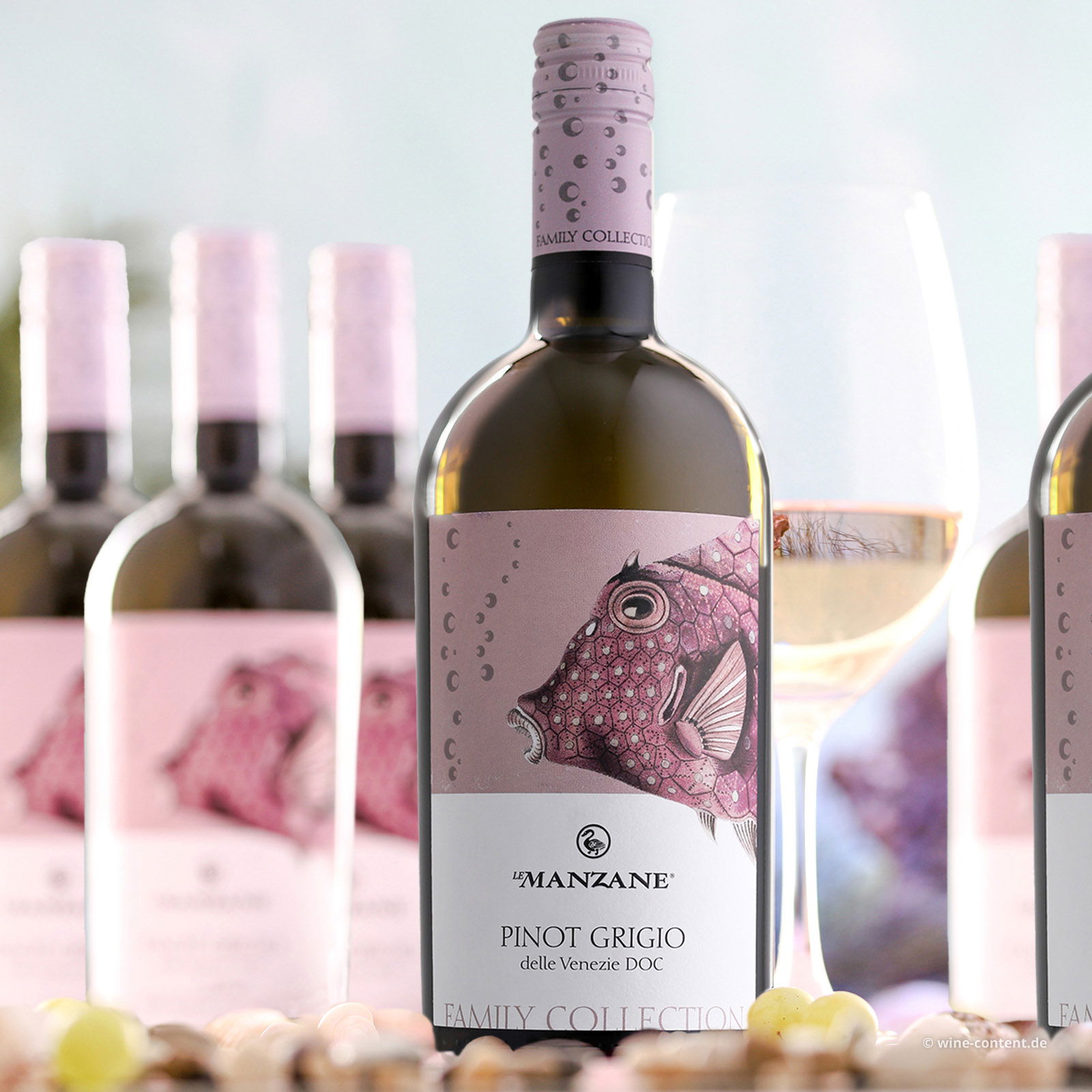 6er-Sparpaket Pinot Grigio delle Venezie 2024