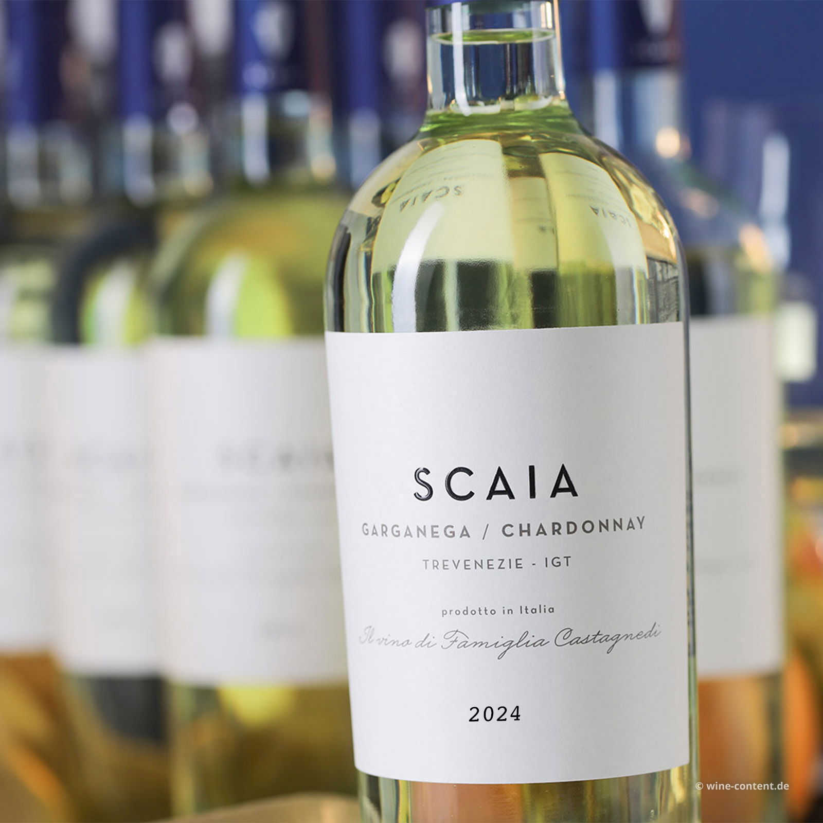 6er-Sparpaket Scaia Bianco 2024