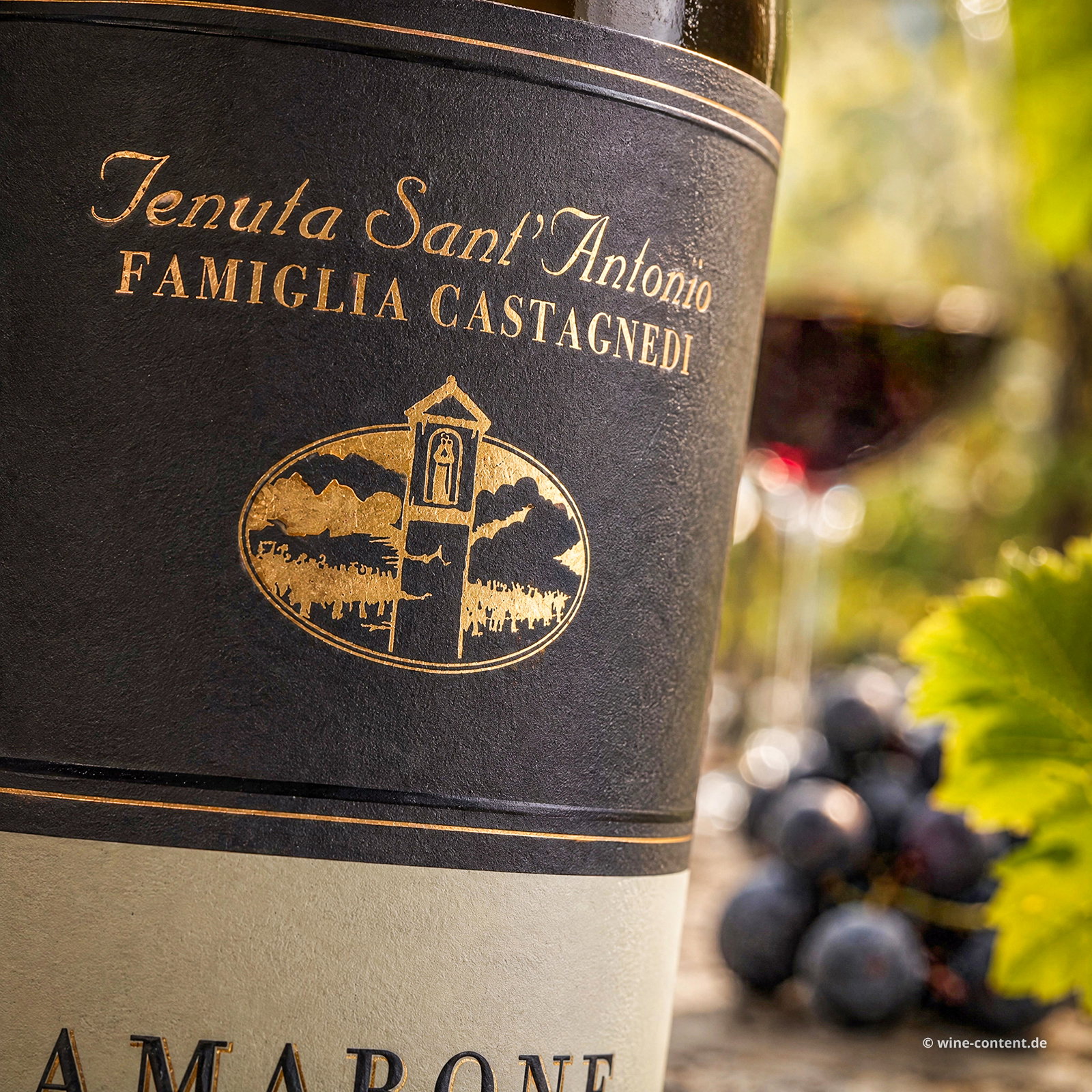6er-Sparpaket Amarone 2021 Selezione Antonio Castagnedi