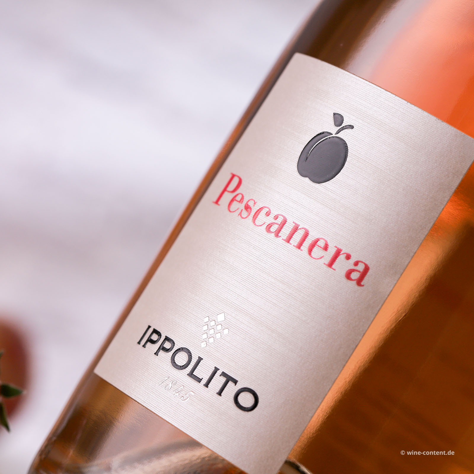 Calabria Rosé 2025 Pescanera