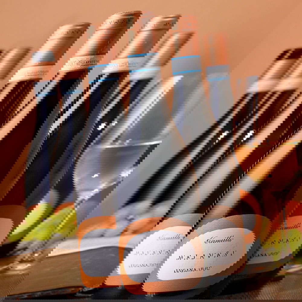 6er-Sparpaket Lugana 2024 Camilla 6er-Sparpaket Lugana 2024 Camilla