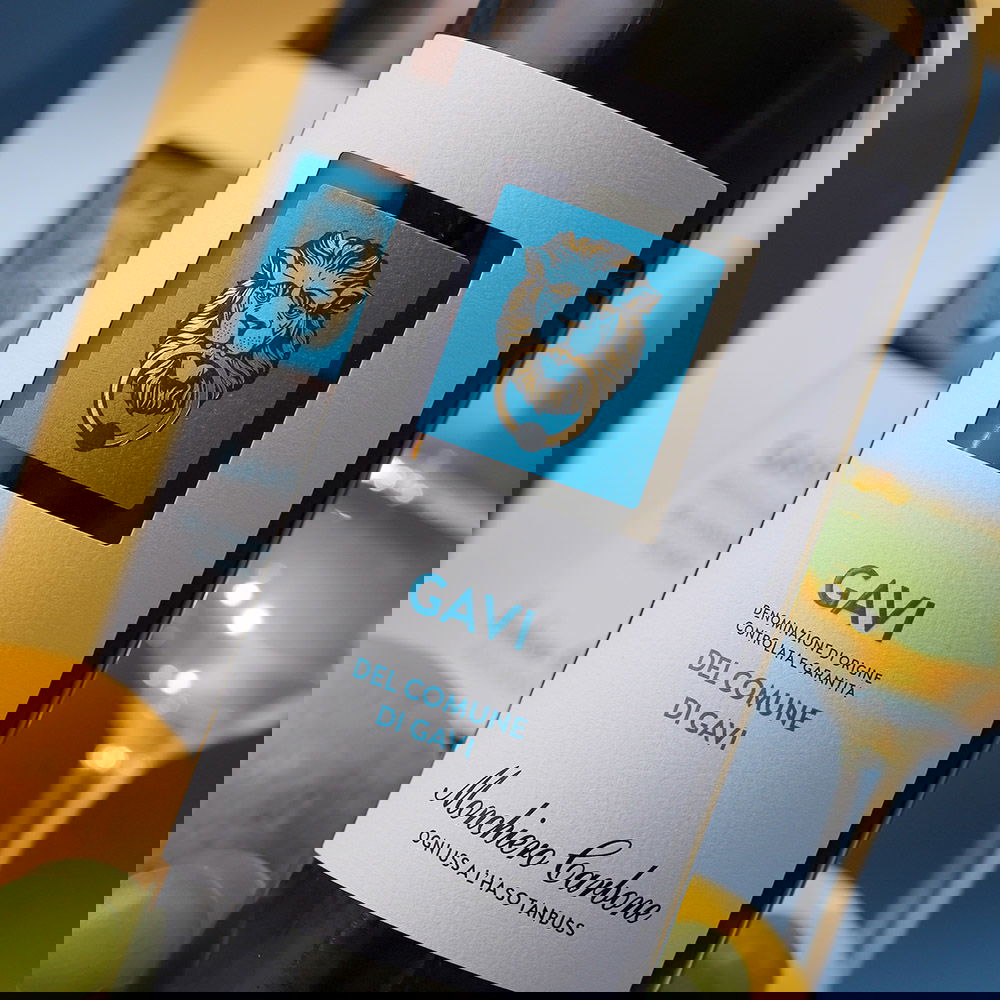 Gavi di Gavi 2024 Gavi di Gavi 2024