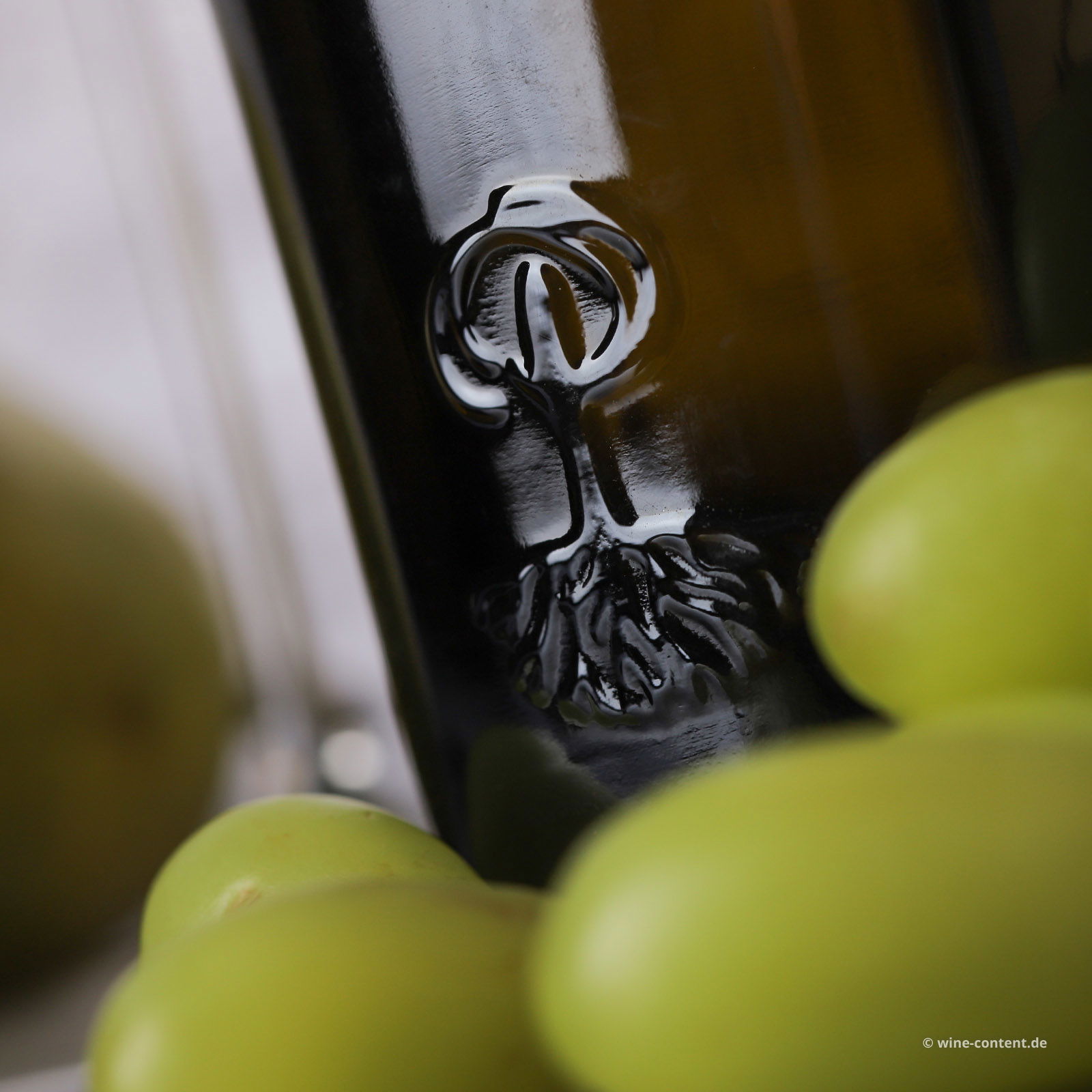 6er-Sparpaket Lugana 2024 Catulliano