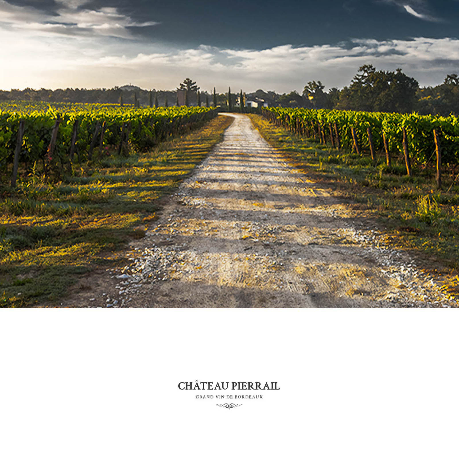 Bordeaux Supérieur 2022 Réserve du Château