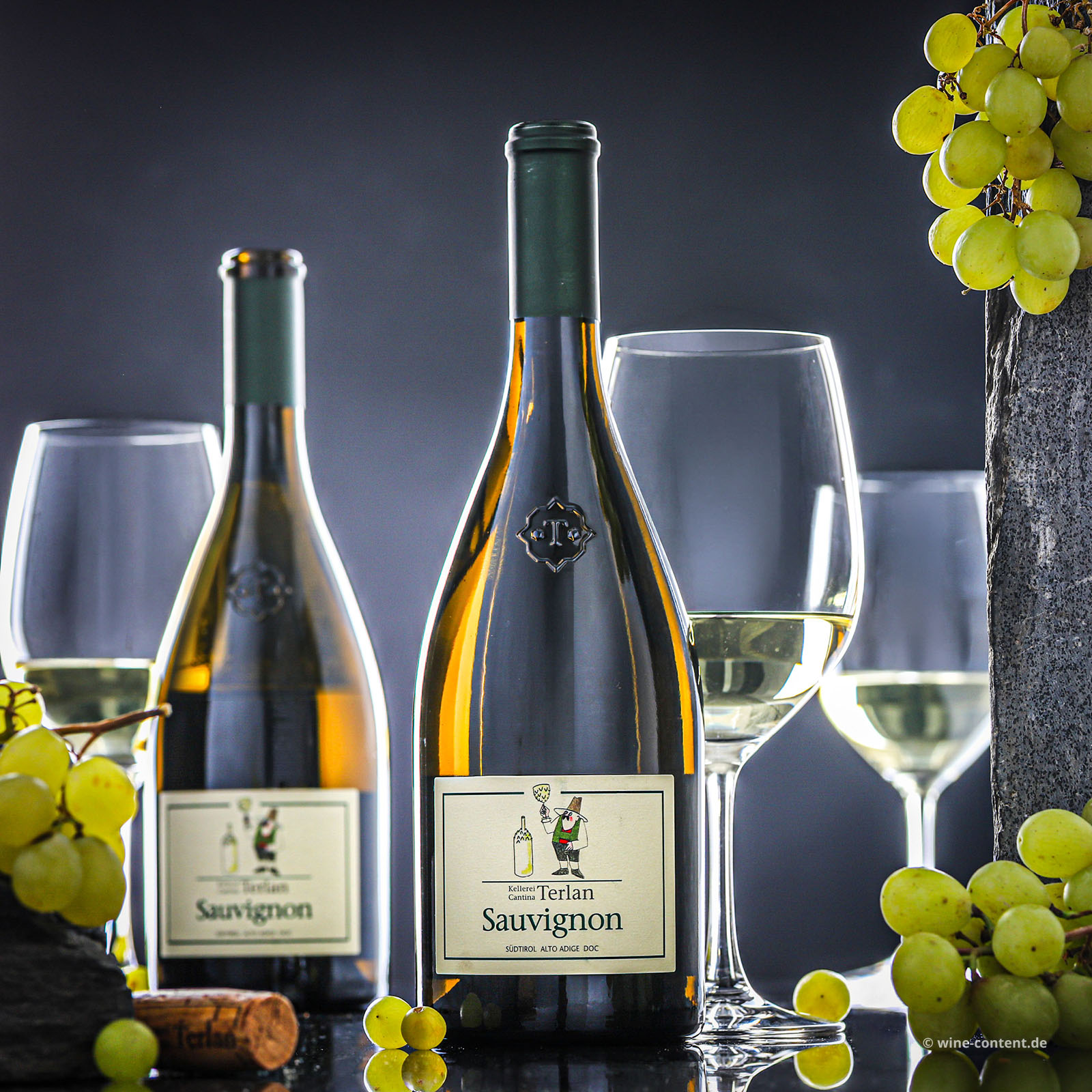 Sauvignon Blanc 2025
