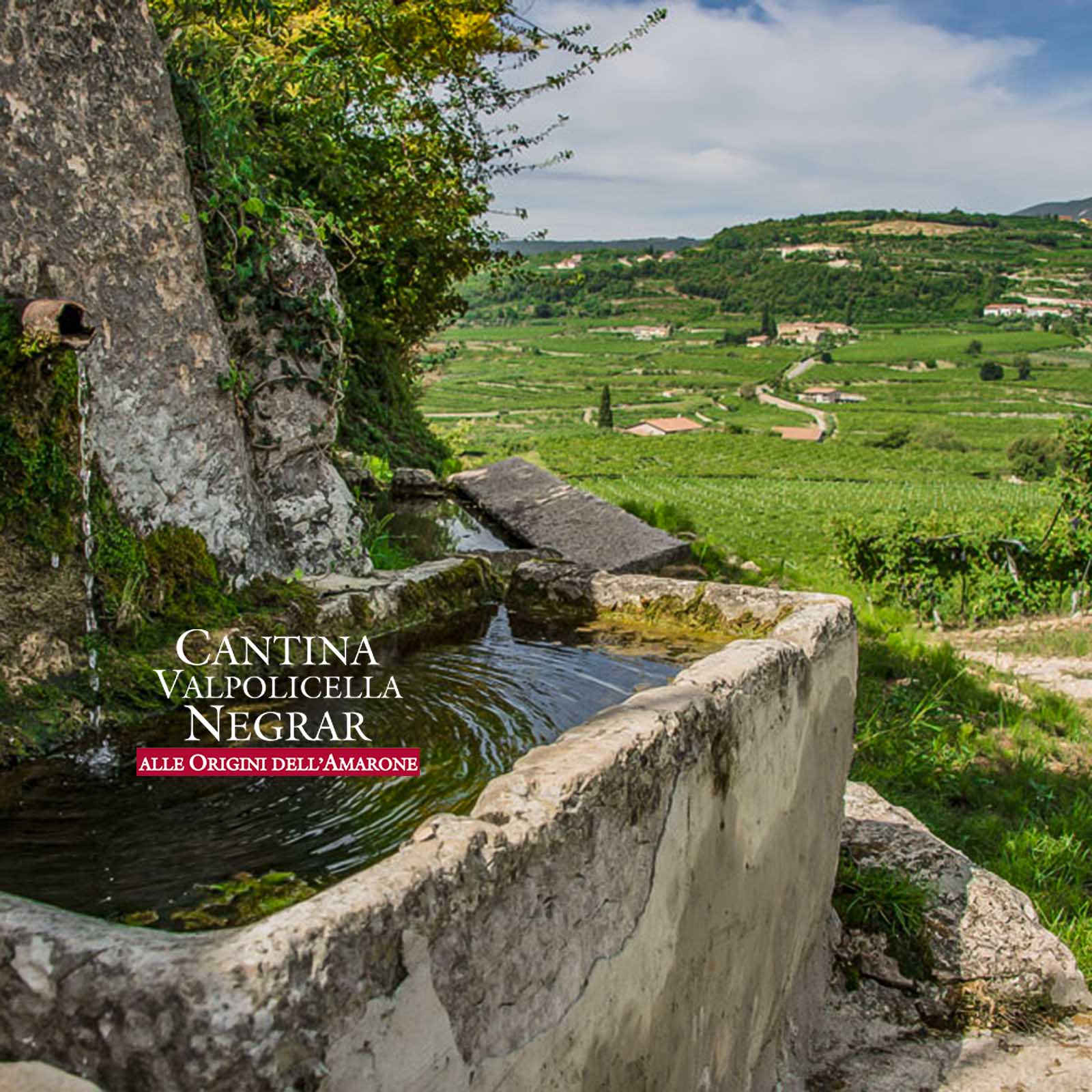 Garganega 2024 Il Viaggo