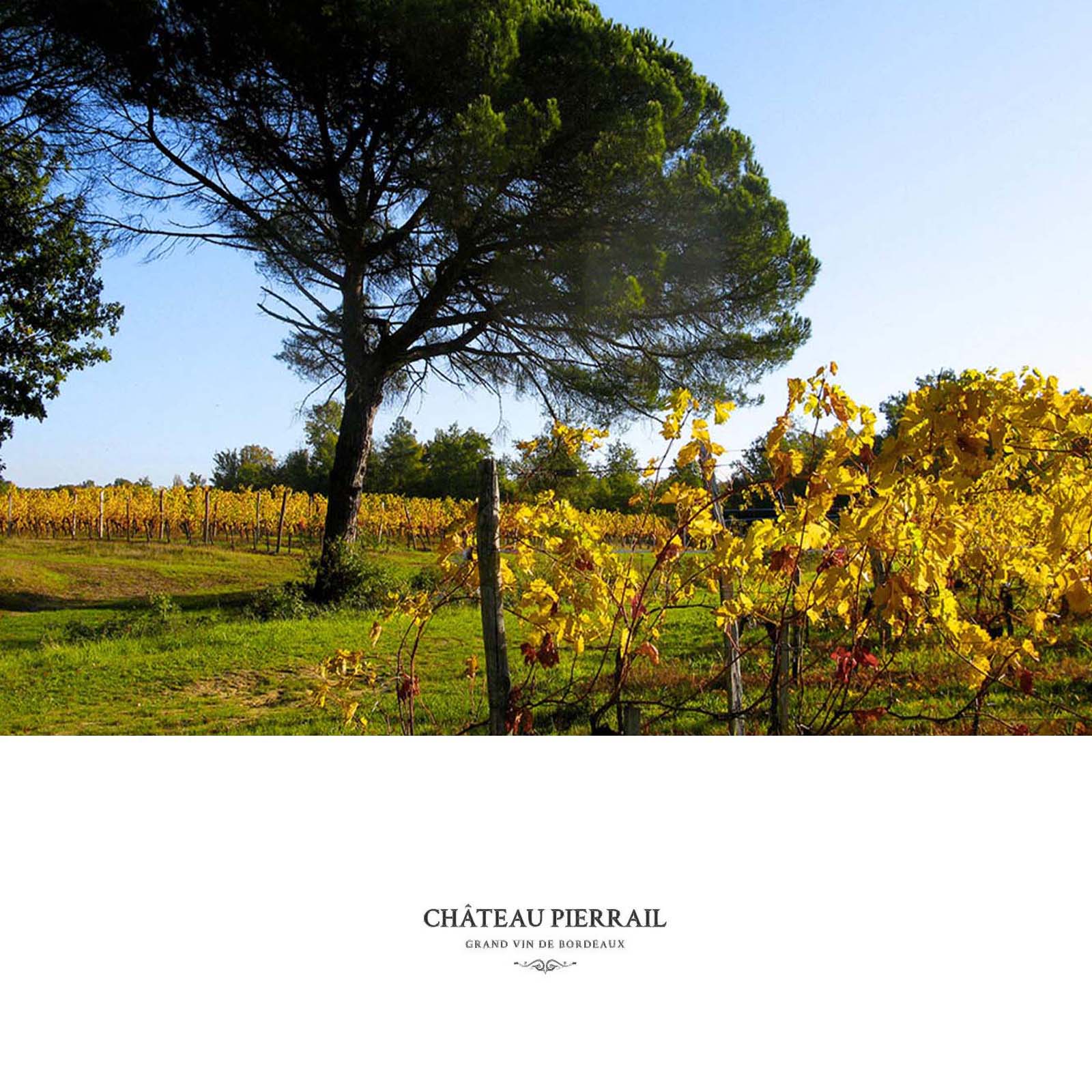 Bordeaux Supérieur 2020 Cuvée Malbec