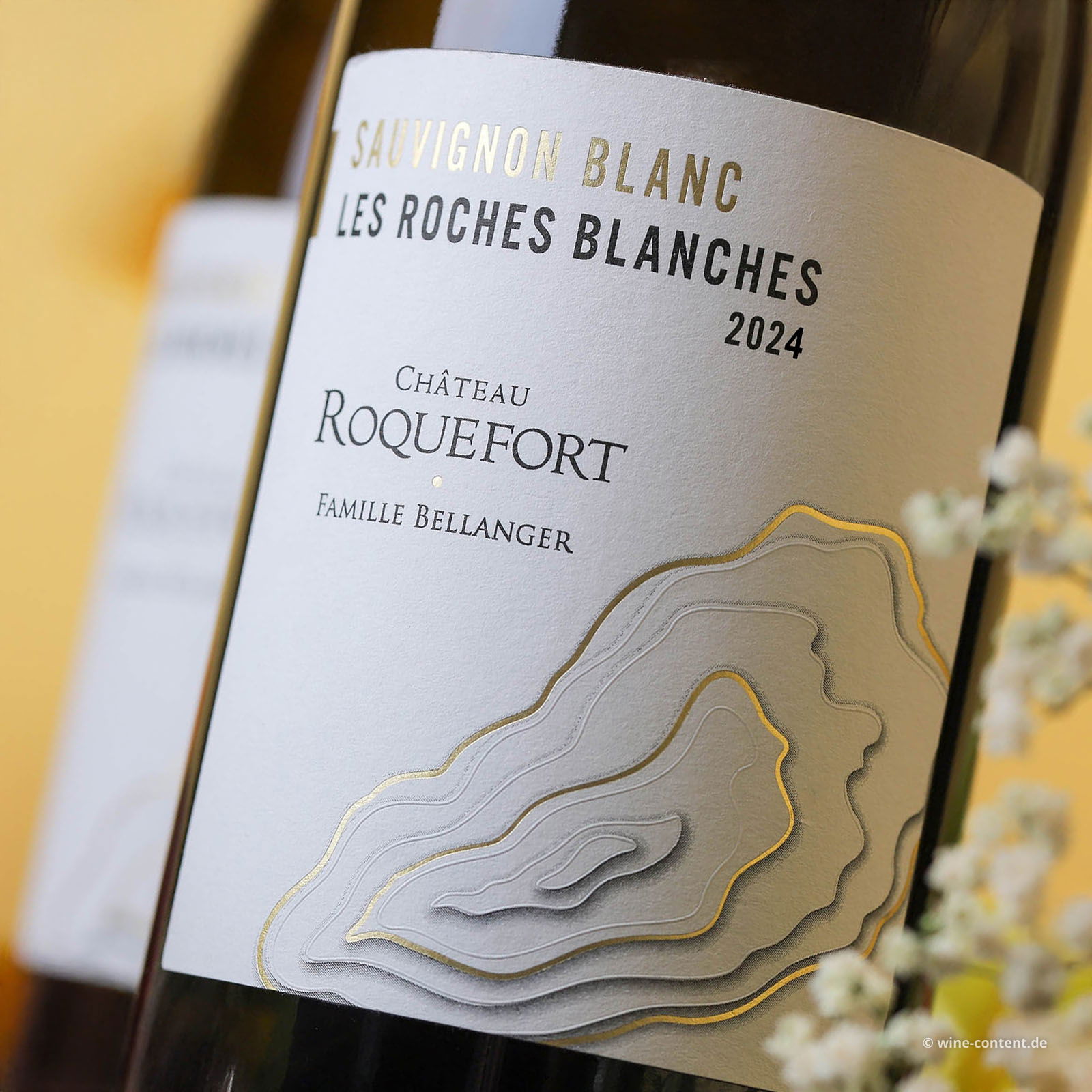 Sauvignon Blanc 2024 Les Roches Blanches Bio