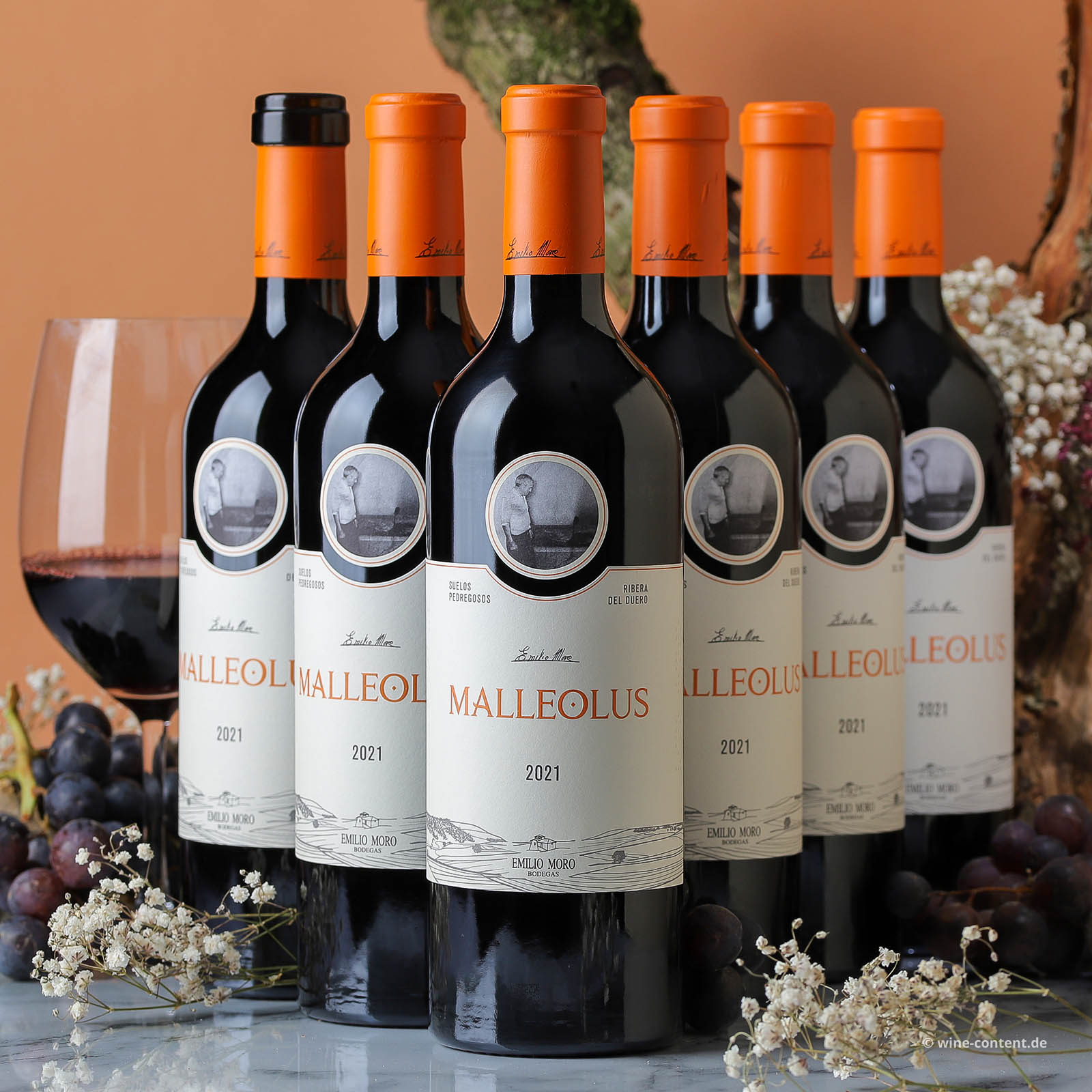 6er-Sparpaket Tempranillo 2021 Malleolus