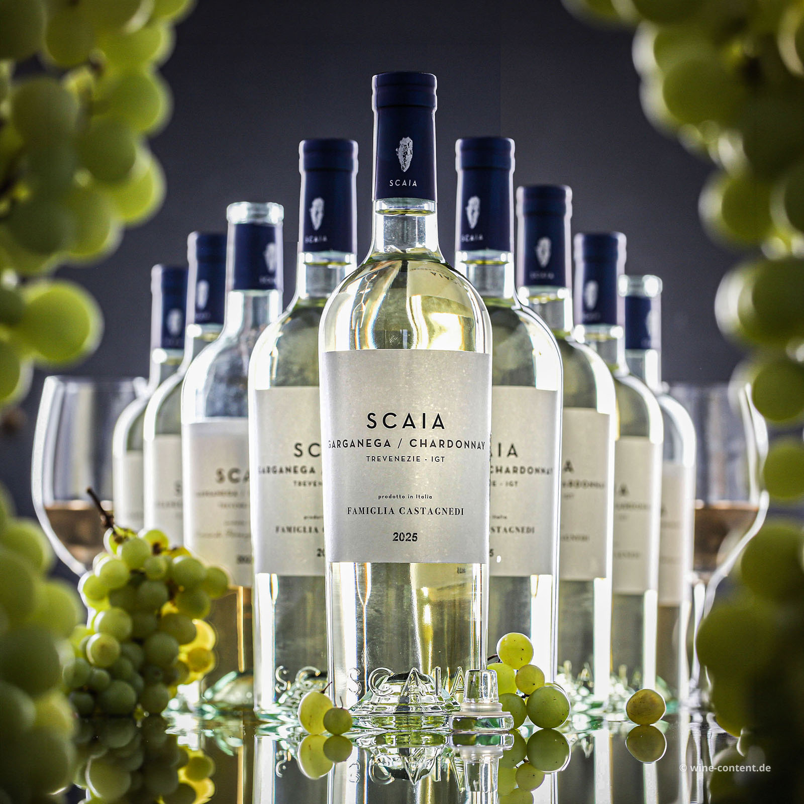9er-Sparpaket Scaia Bianco 2025