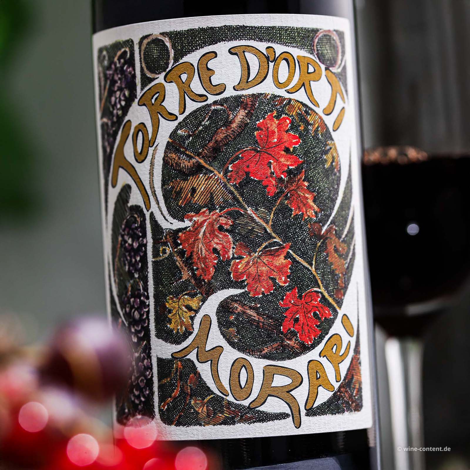 Valpolicella Superiore 2023 Morari