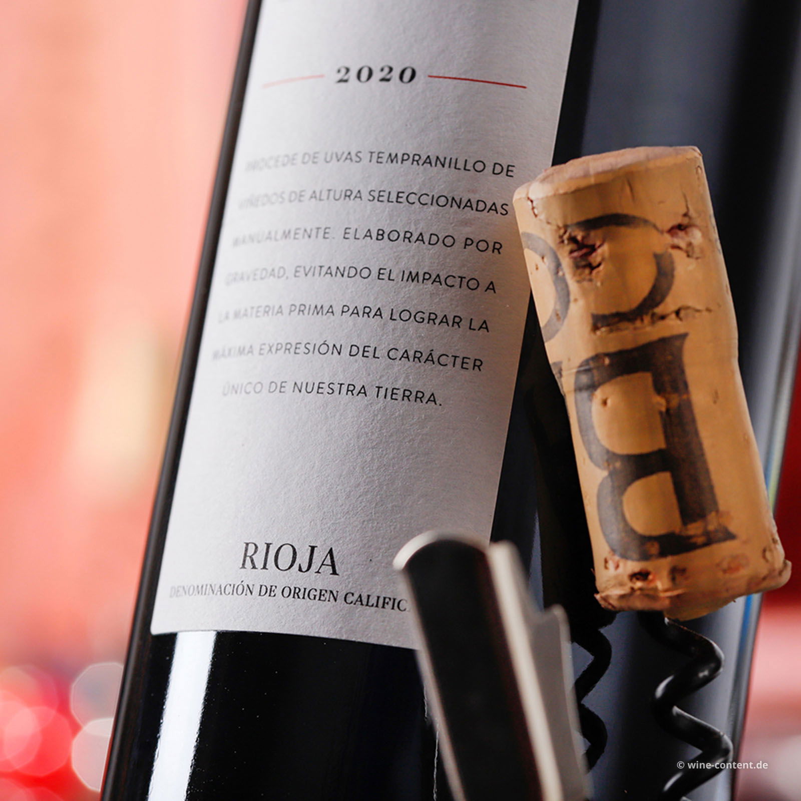 Rioja Crianza 2020 Mendi