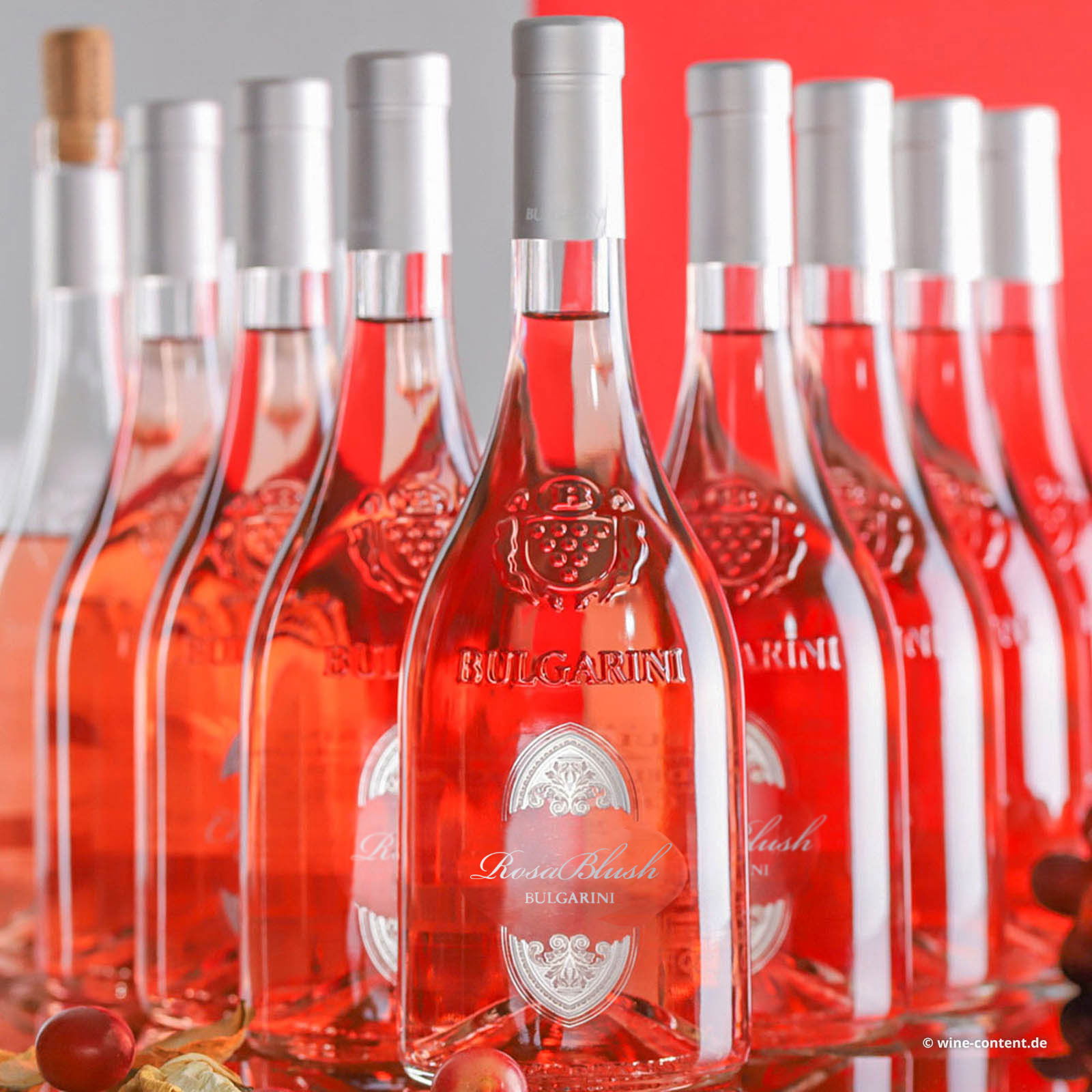 9er-Sparpaket Chiaretto Garda Classico 2024 Rosa Blush