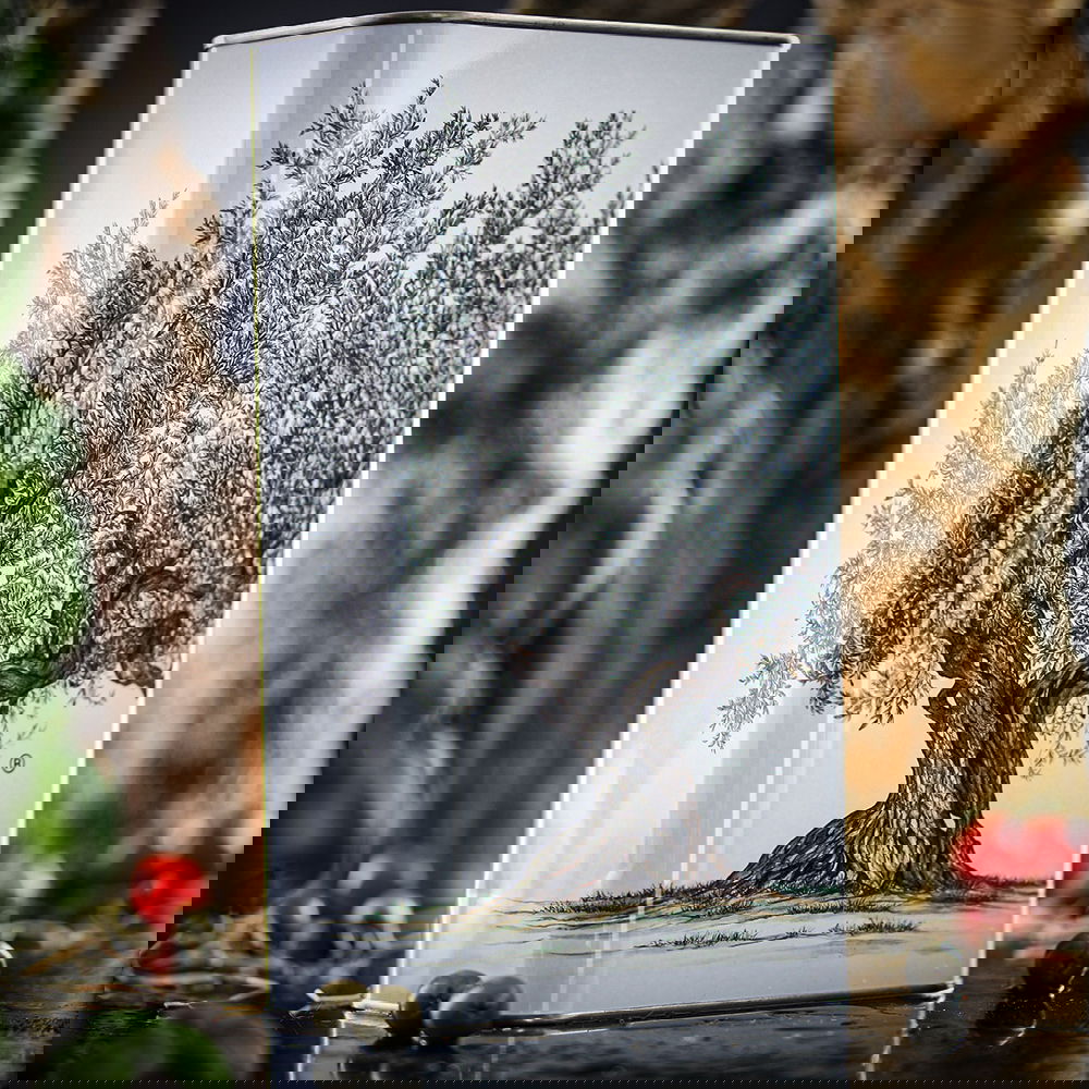 3 L Olivenöl Extra Vergine 2025 Bio Kanister